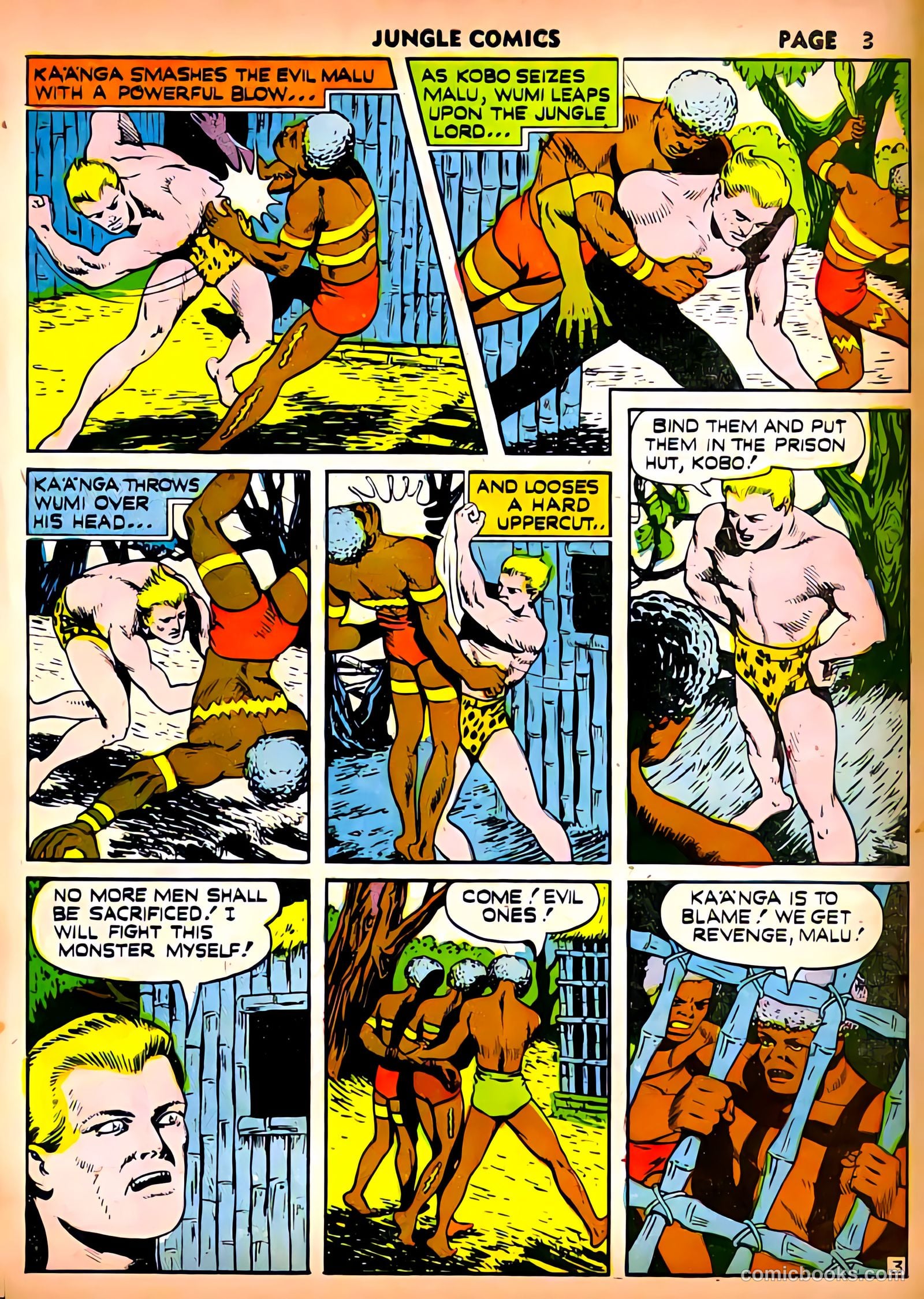Jungle Comics #21 (1941) — page 5 of 68