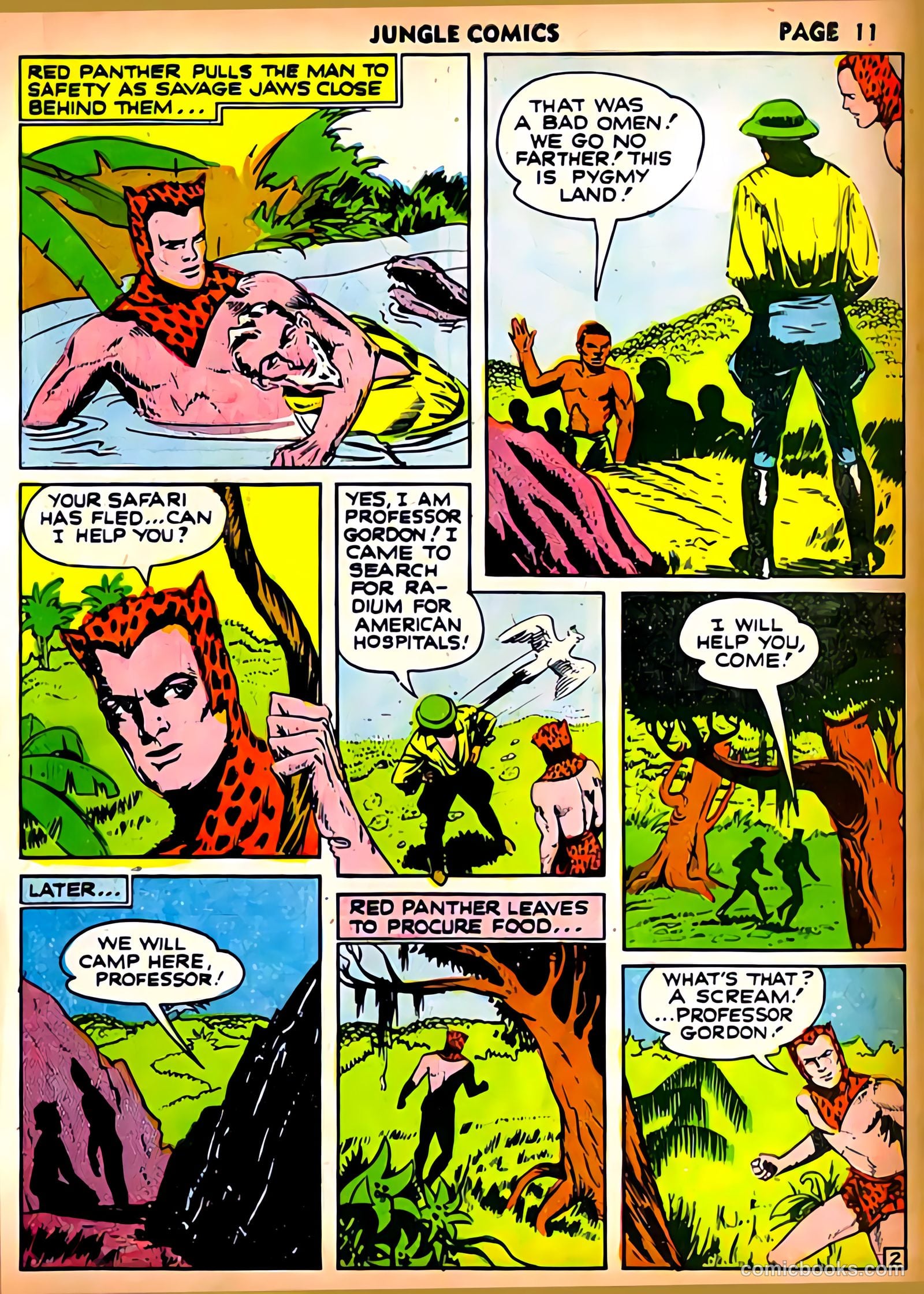 Jungle Comics #21 (1941) — page 13 of 68