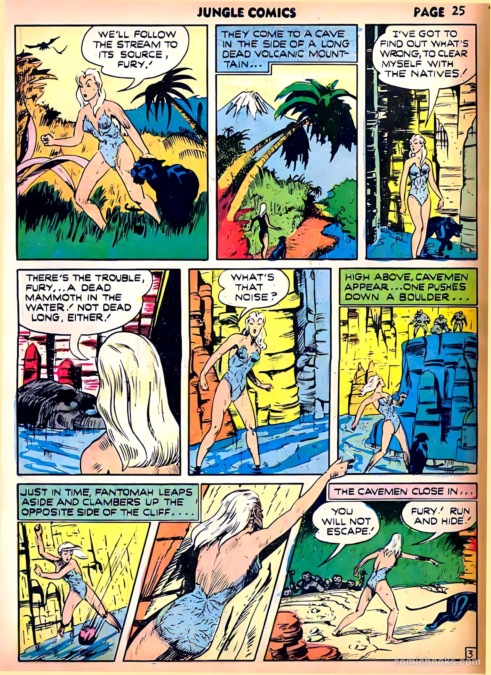 Jungle Comics #22 (1941) — page 27 of 68