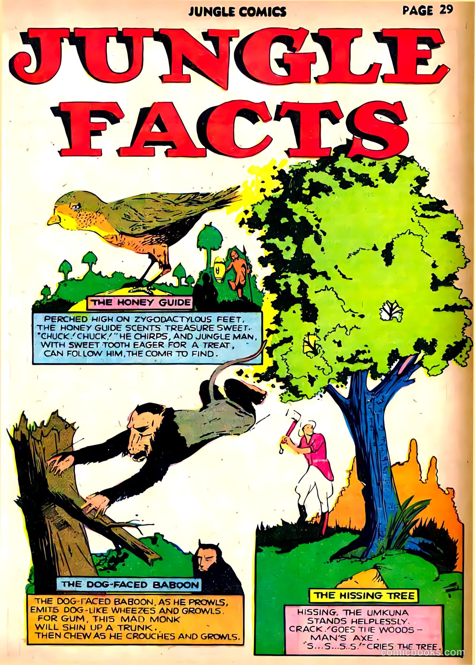 Jungle Comics #22 (1941) — page 31 of 68