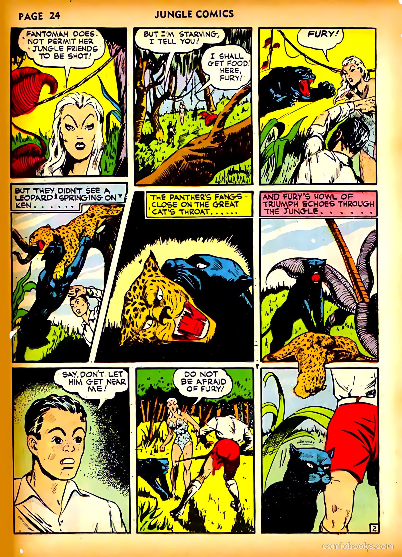 Jungle Comics #23 (1941) — page 28 of 70