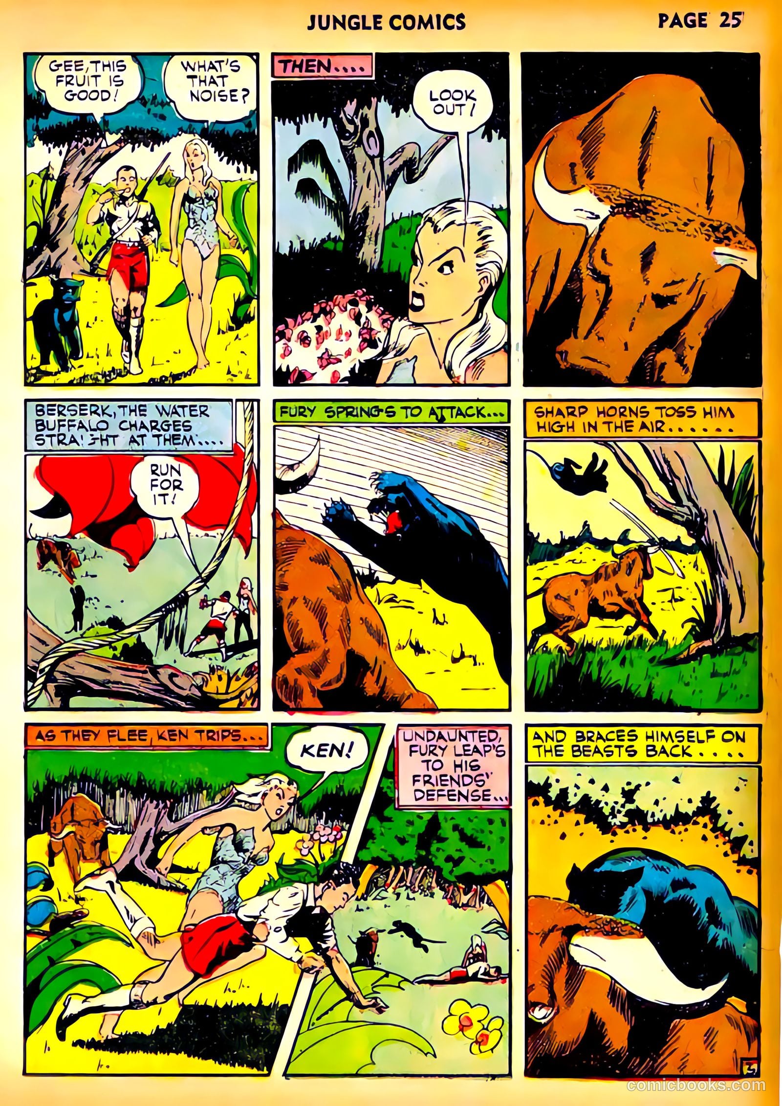Jungle Comics #23 (1941) — page 29 of 70