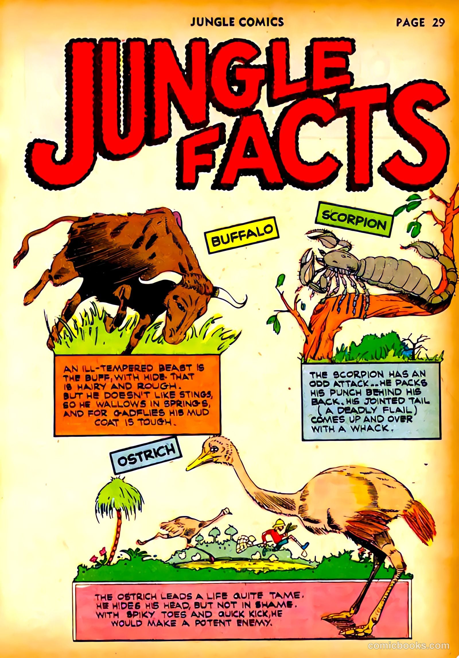 Jungle Comics #23 (1941) — page 33 of 70