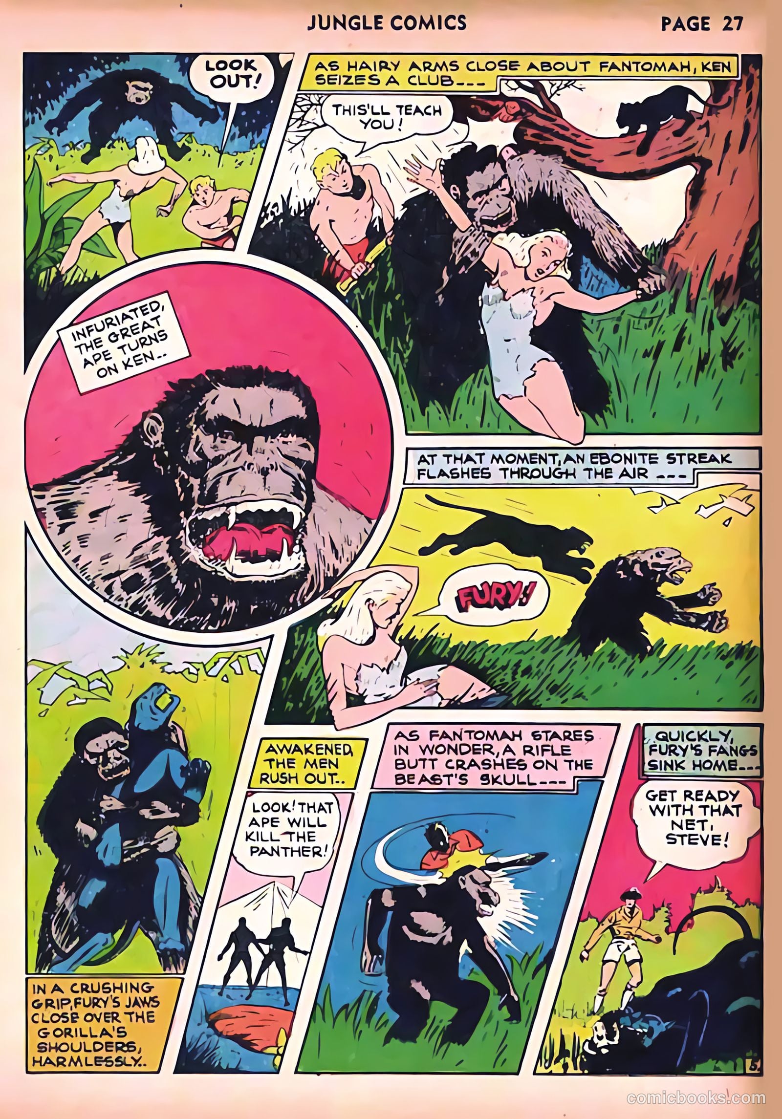 Jungle Comics #24 (1941) — page 29 of 68