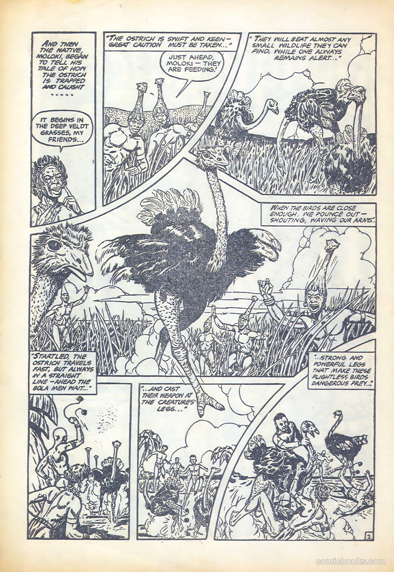 Jungle Comics #25 — page 20 of 28