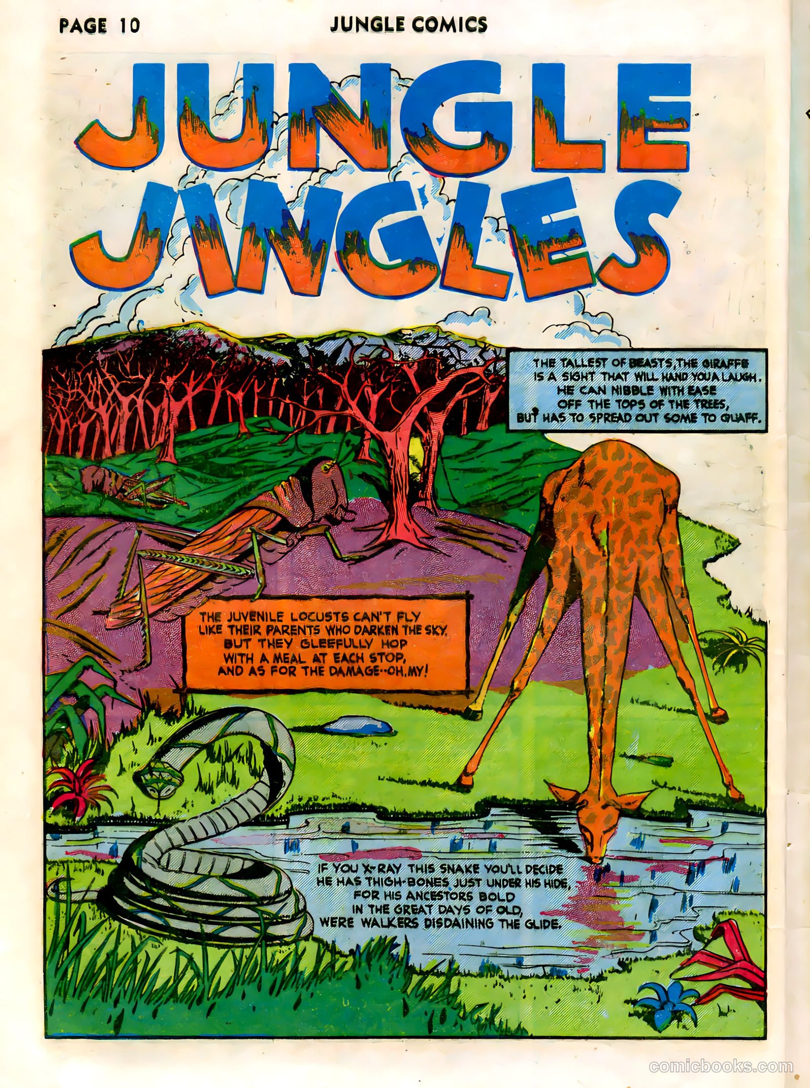 Jungle Comics #26 (1942) — page 12 of 68