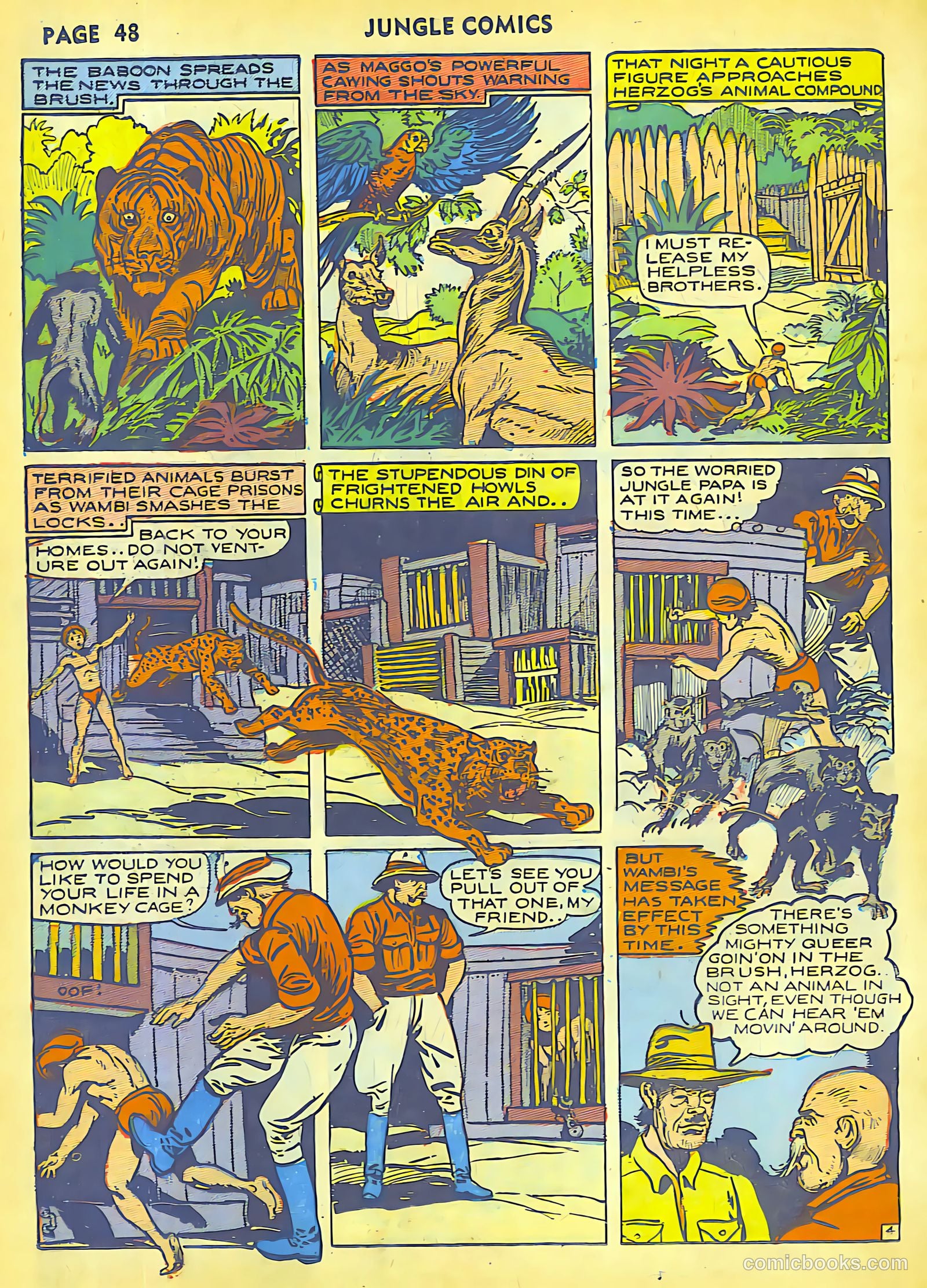 Jungle Comics #27 (1942) — page 50 of 68