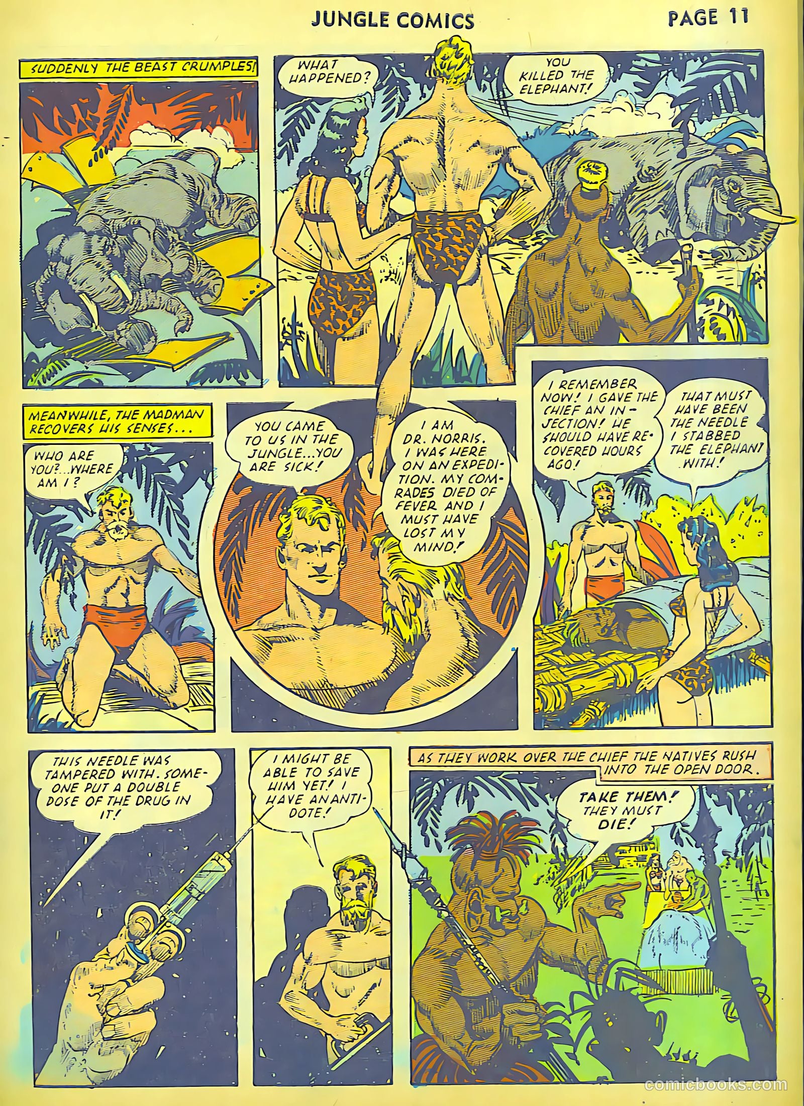 Jungle Comics #30 (1942) — page 13 of 68