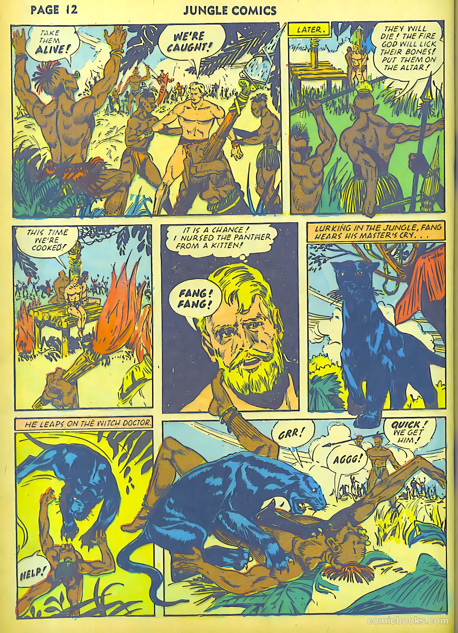 Jungle Comics #30 (1942) — page 14 of 68