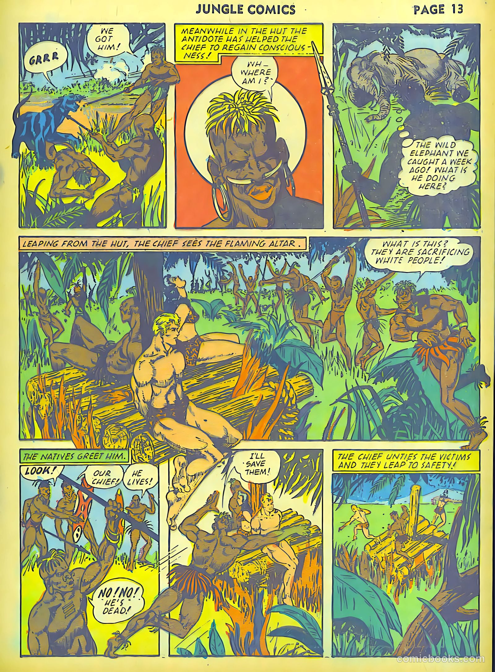 Jungle Comics #30 (1942) — page 15 of 68