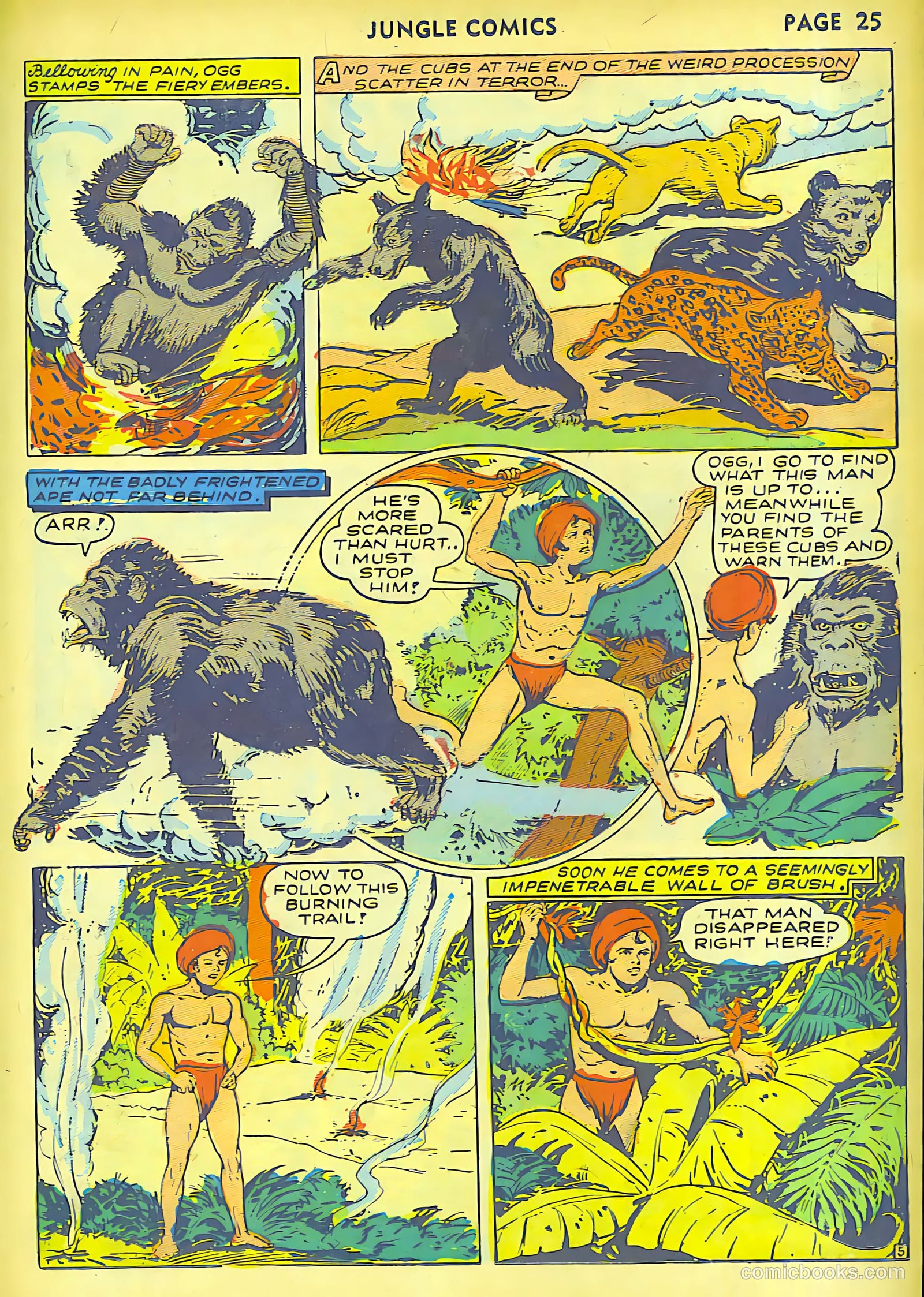 Jungle Comics #30 (1942) — page 27 of 68