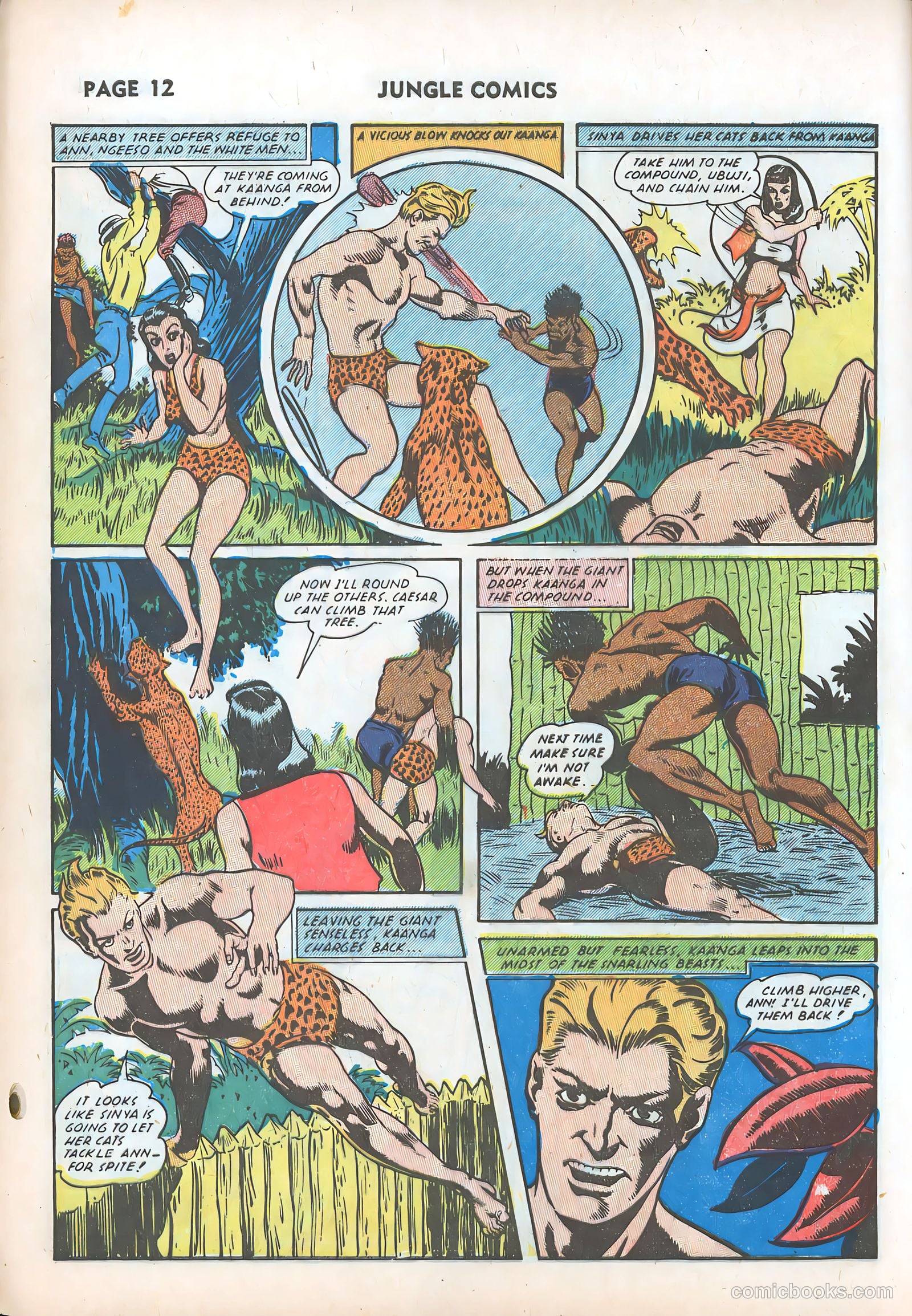 Jungle Comics #31 (1942) — page 15 of 69