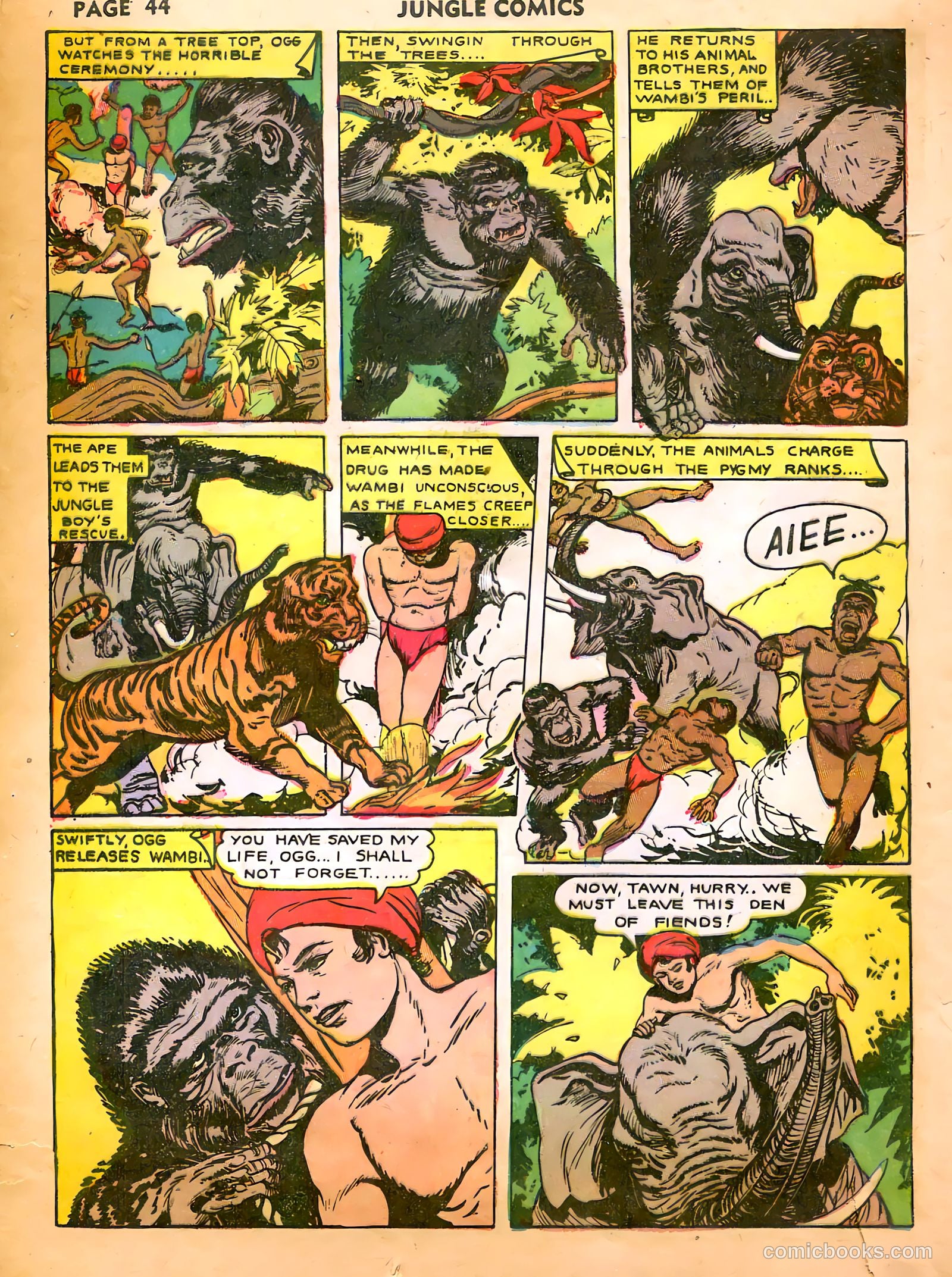 Jungle Comics #35 (1945) — page 46 of 68