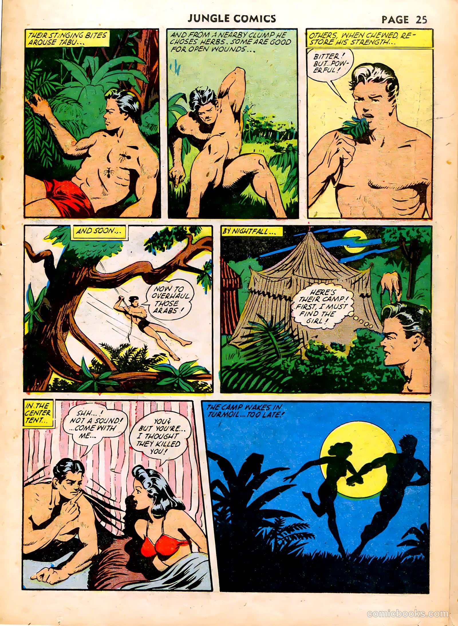 Jungle Comics #38 (1943) — page 28 of 69