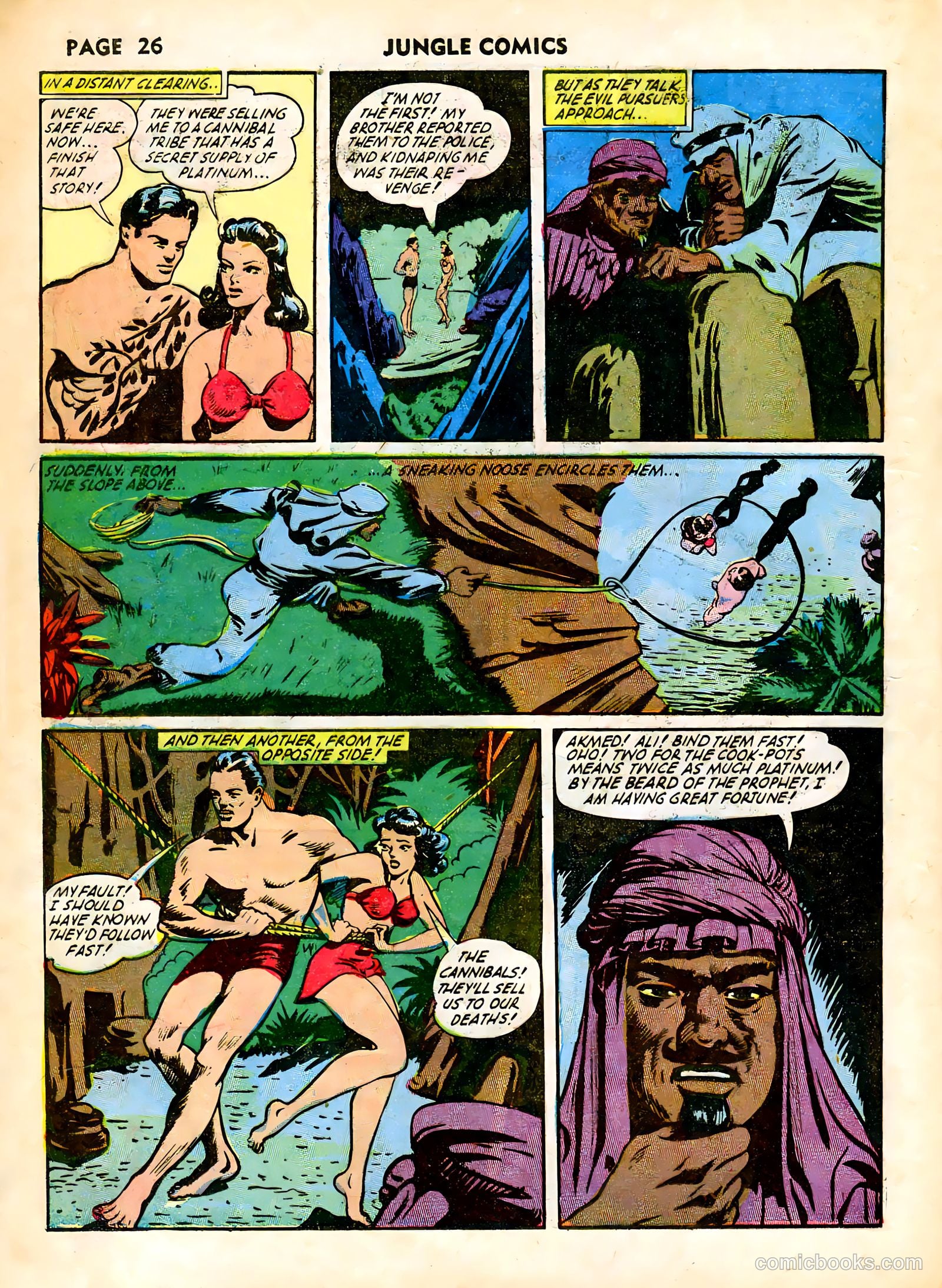 Jungle Comics #38 (1943) — page 29 of 69