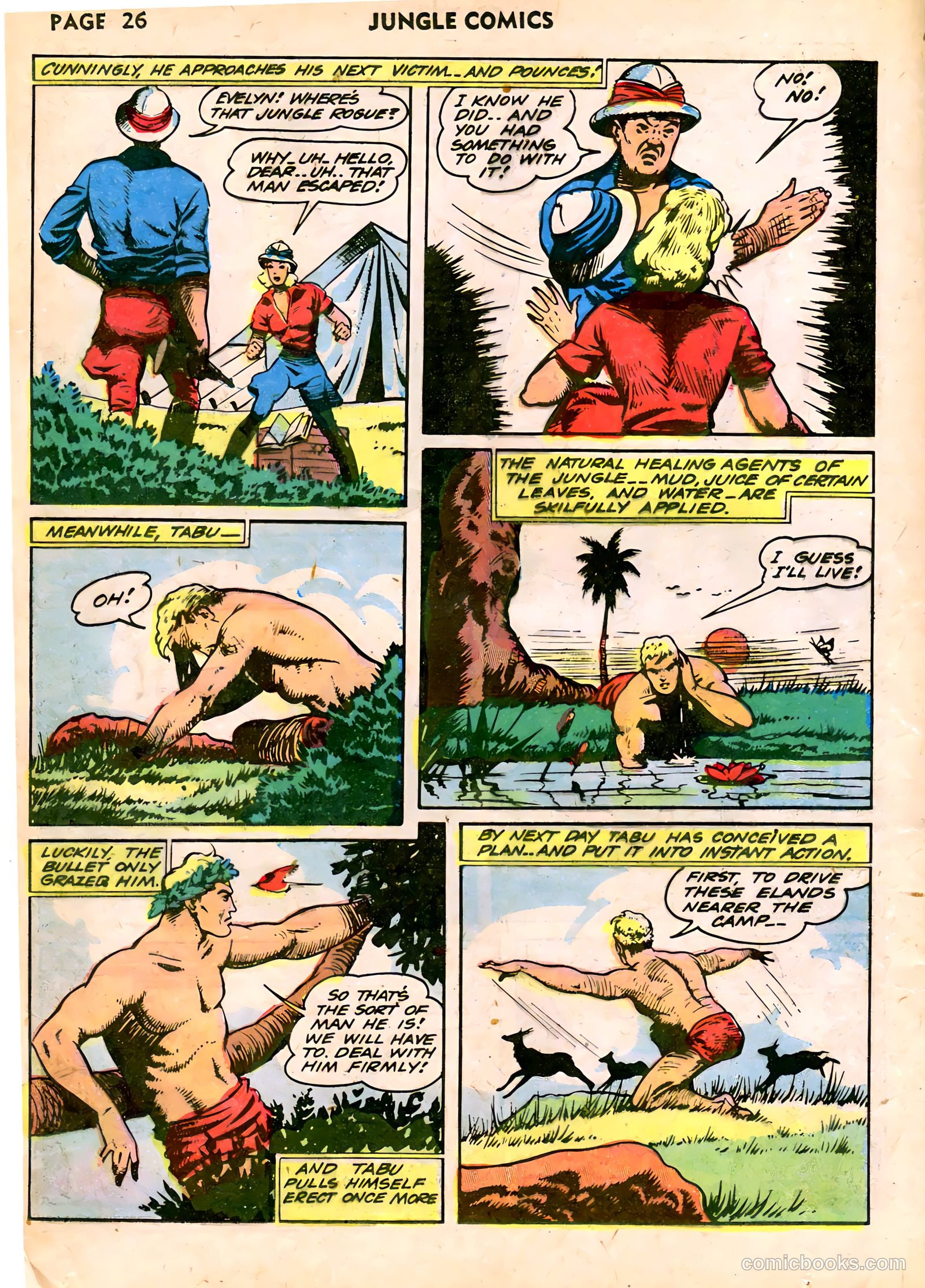 Jungle Comics #39 (1943) — page 28 of 68
