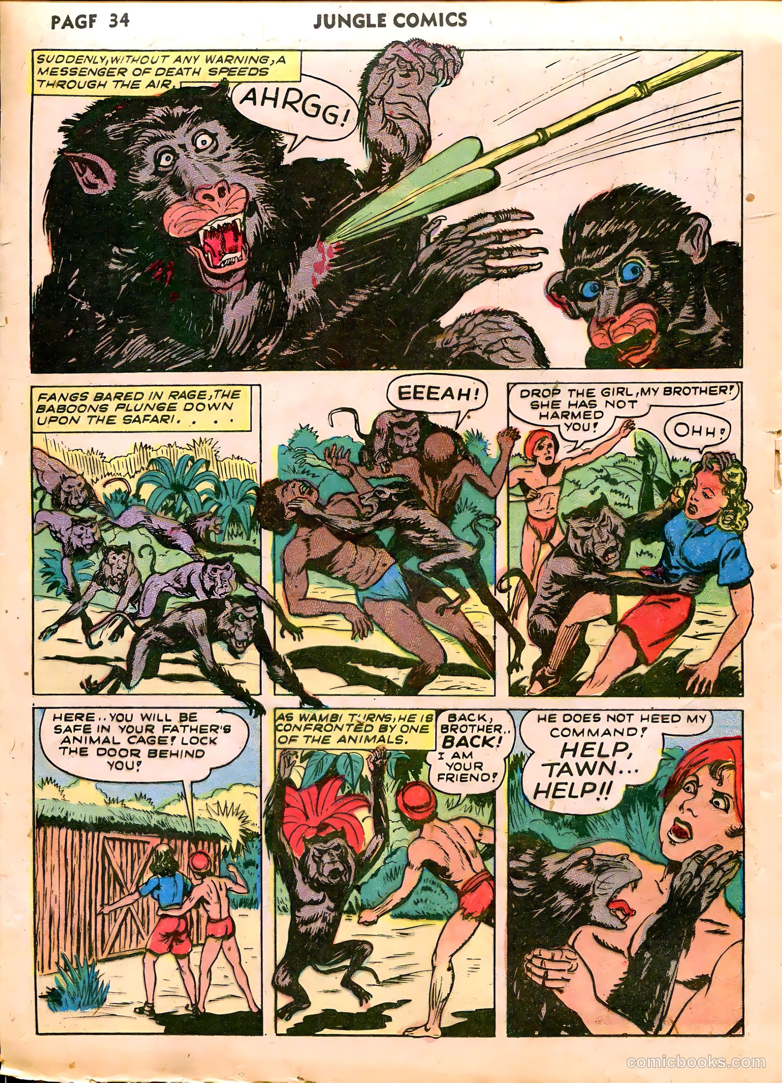 Jungle Comics #39 (1943) — page 36 of 68