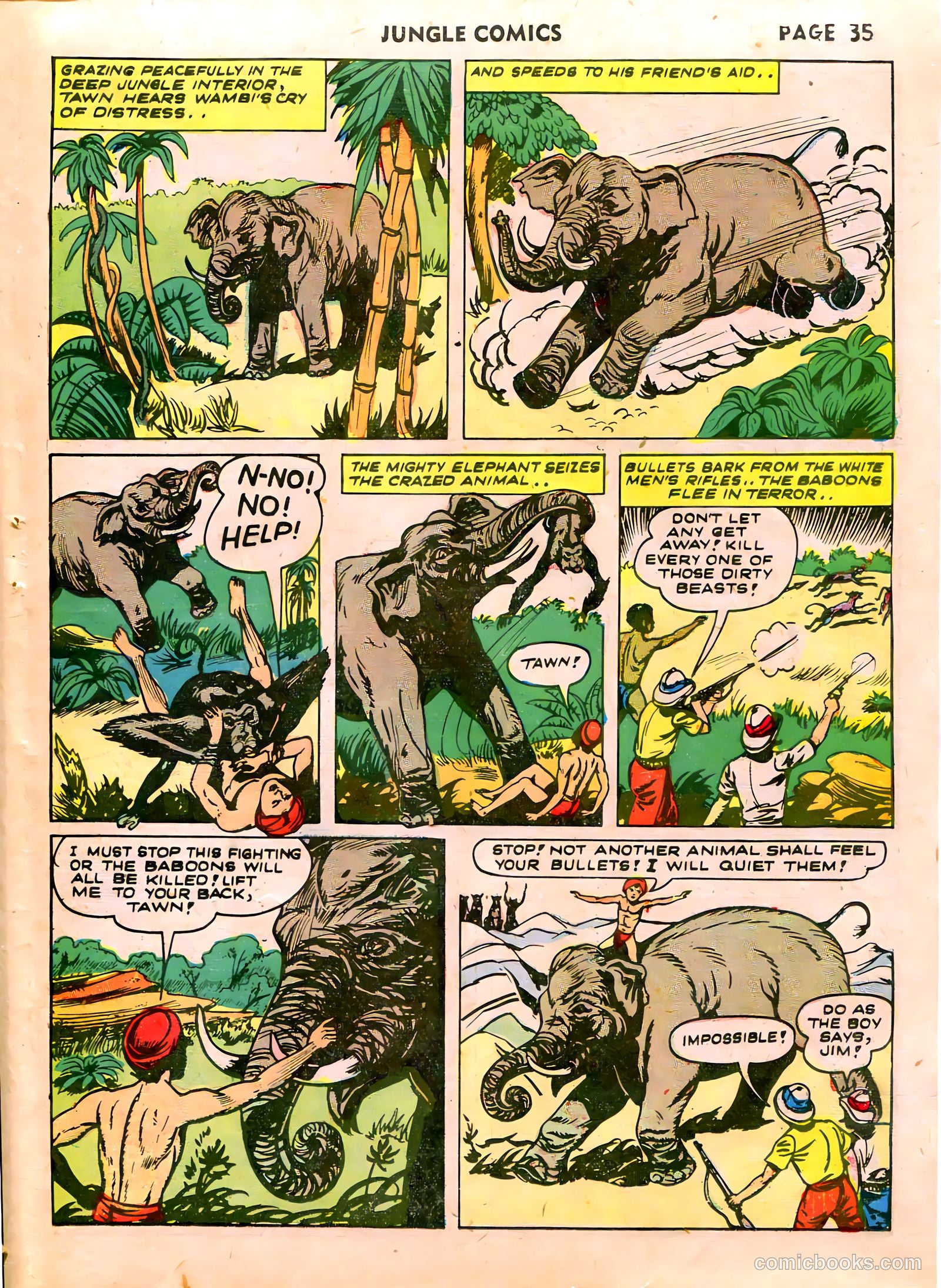 Jungle Comics #39 (1943) — page 37 of 68