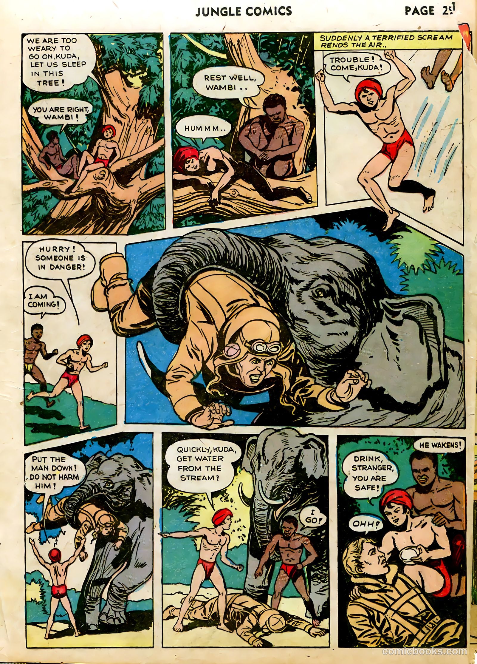 Jungle Comics #40 (1943) — page 31 of 68