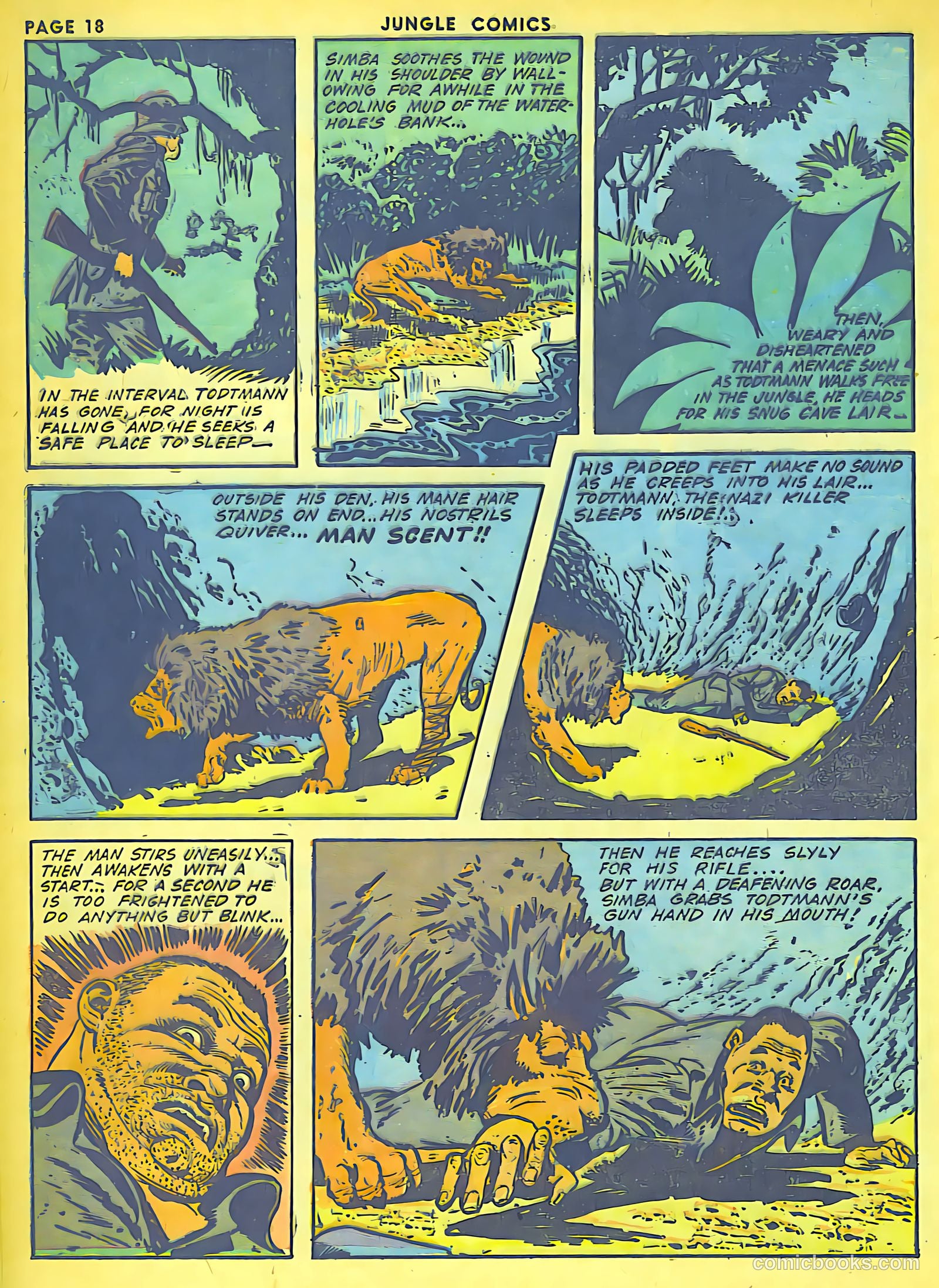 Jungle Comics #41 (1943) — page 20 of 68
