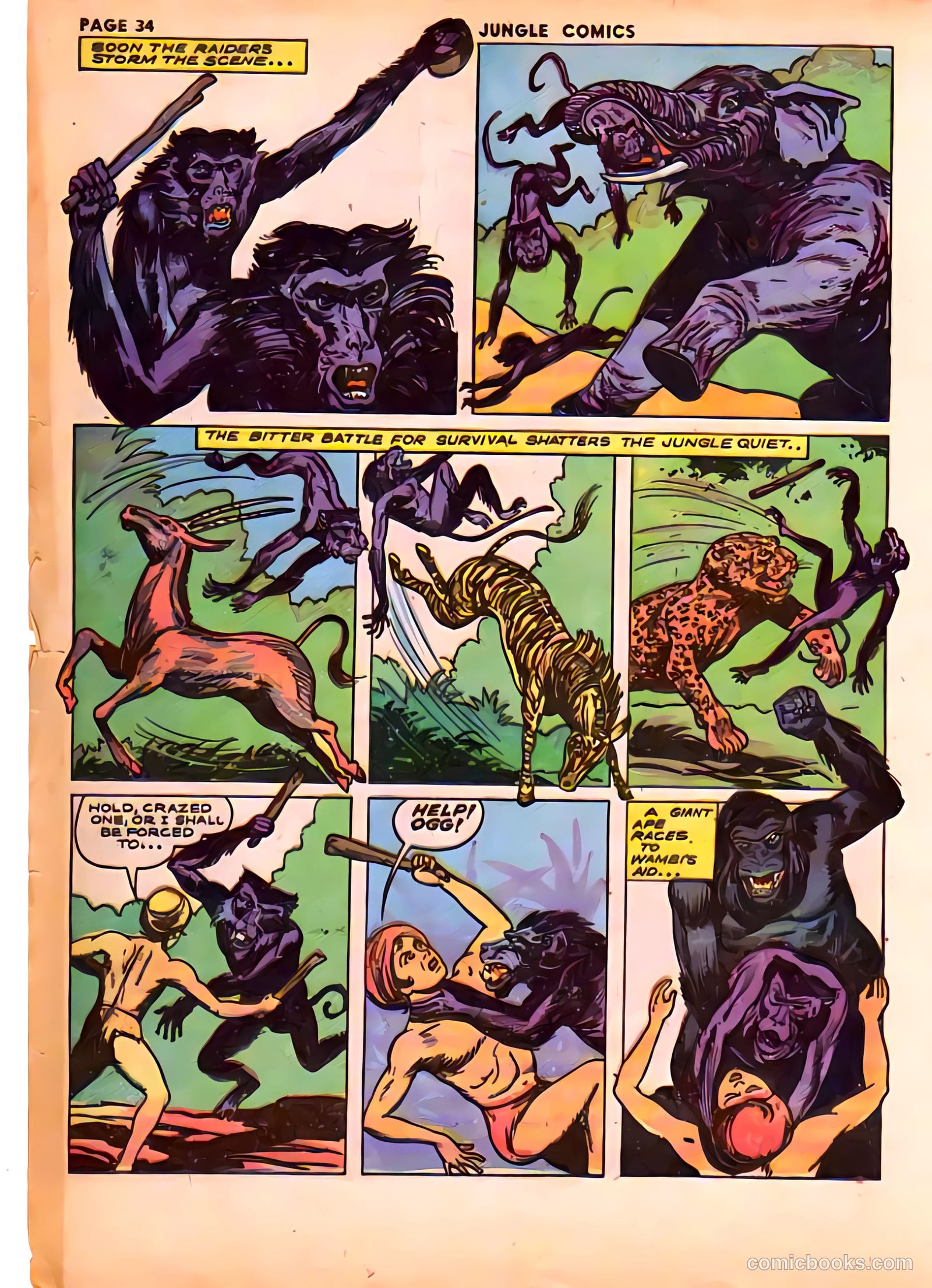 Jungle Comics #41 (1943) — page 36 of 68