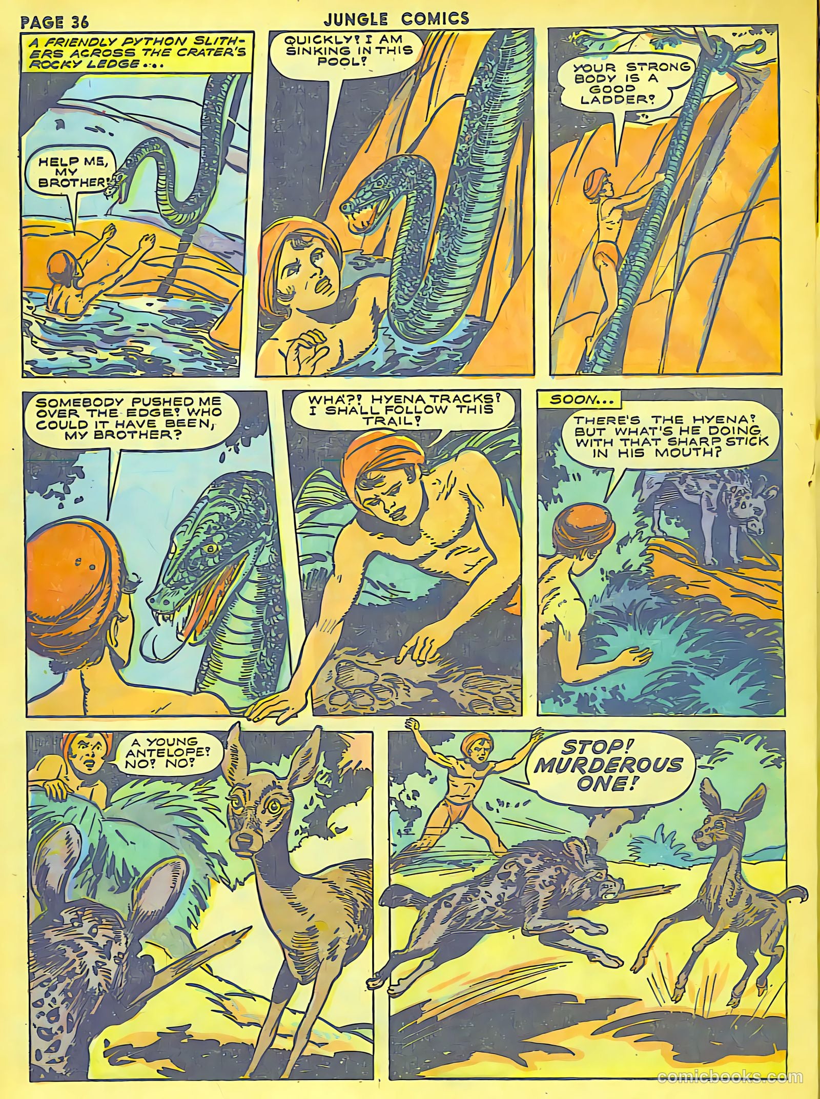 Jungle Comics #41 (1943) — page 38 of 68