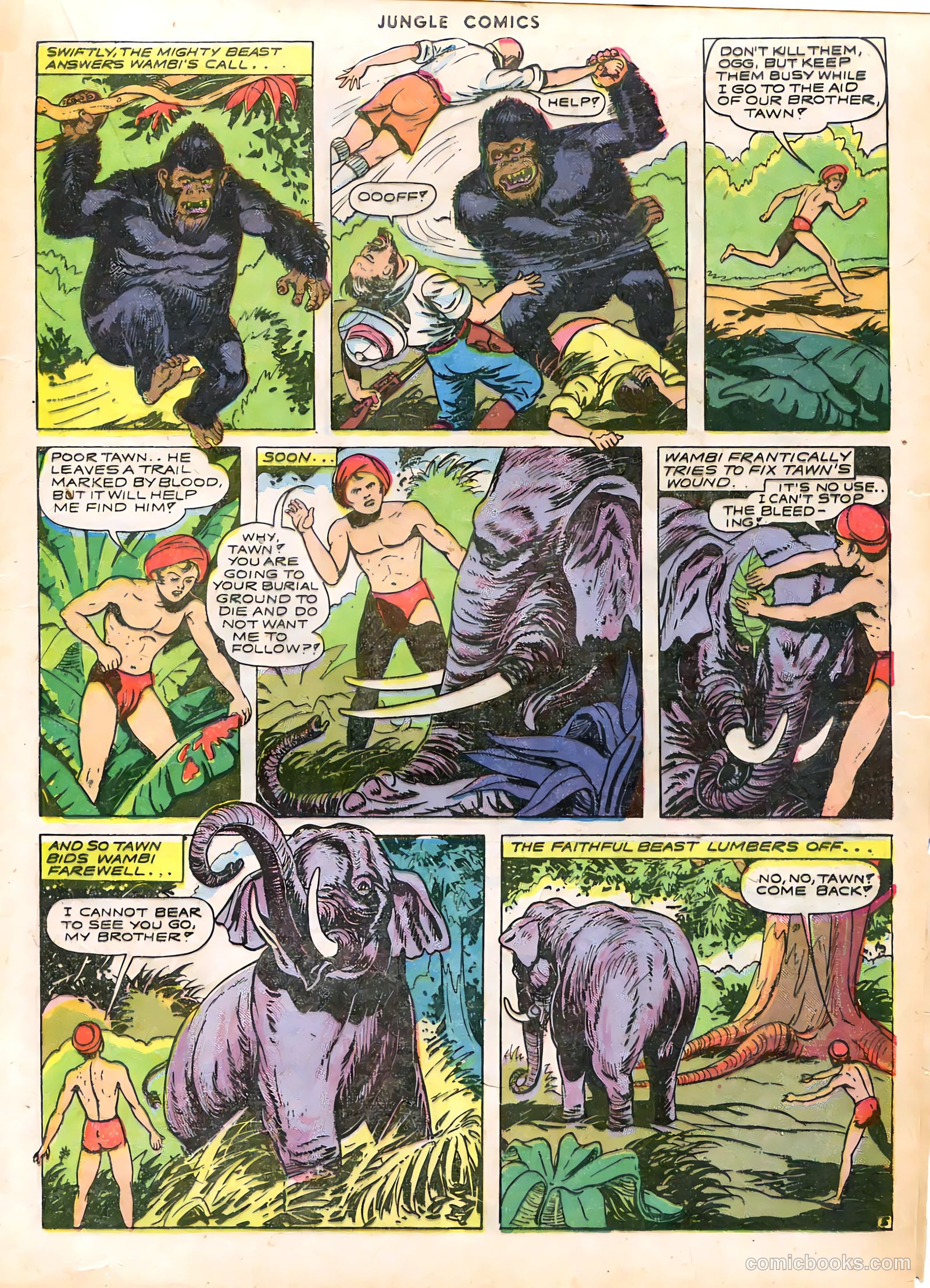 Jungle Comics #44 (1943) — page 31 of 60