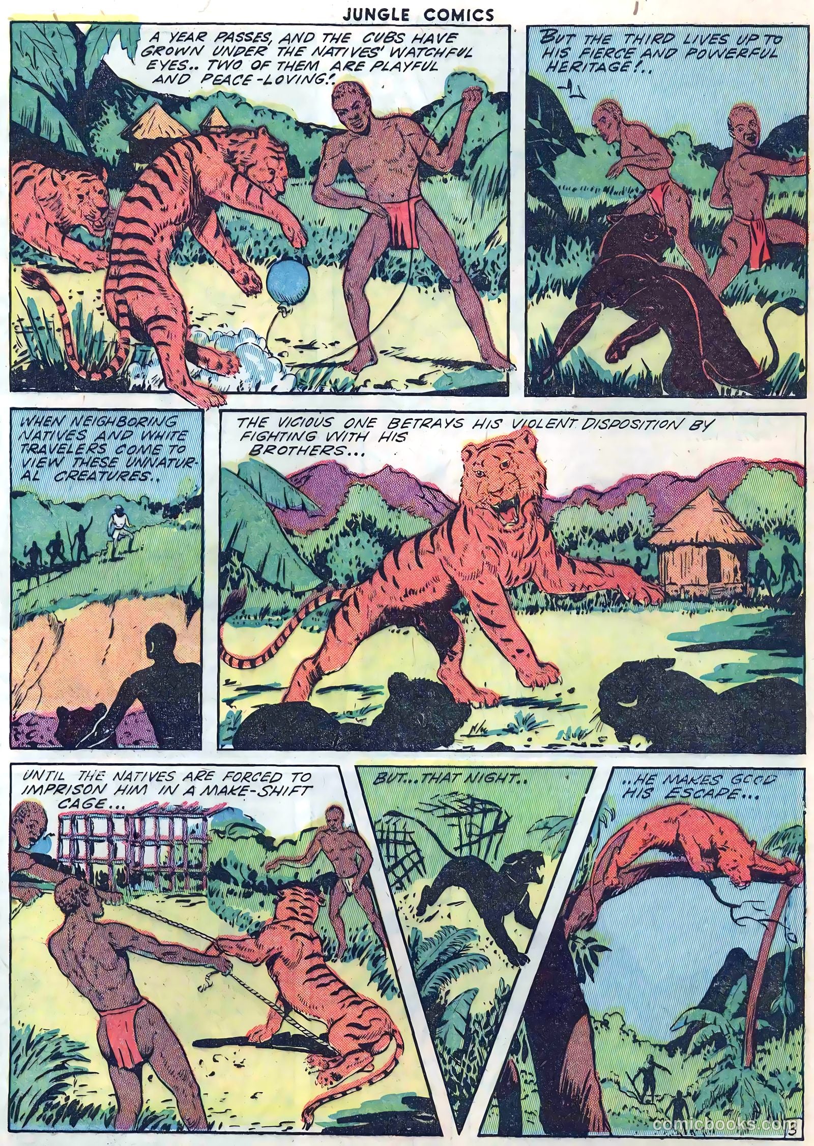 Jungle Comics #47 (1943) — page 17 of 60