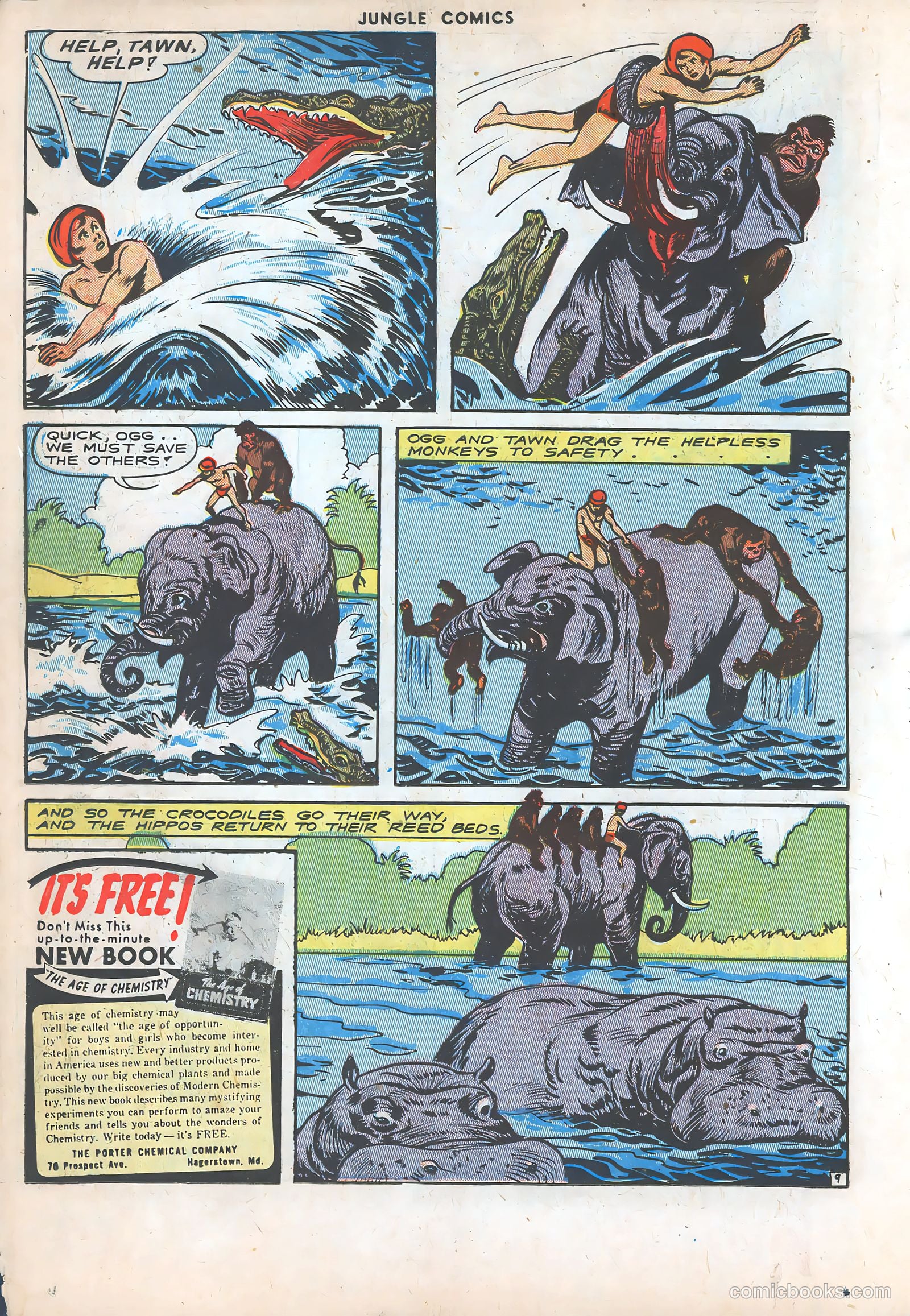 Jungle Comics #48 (1943) — page 34 of 60