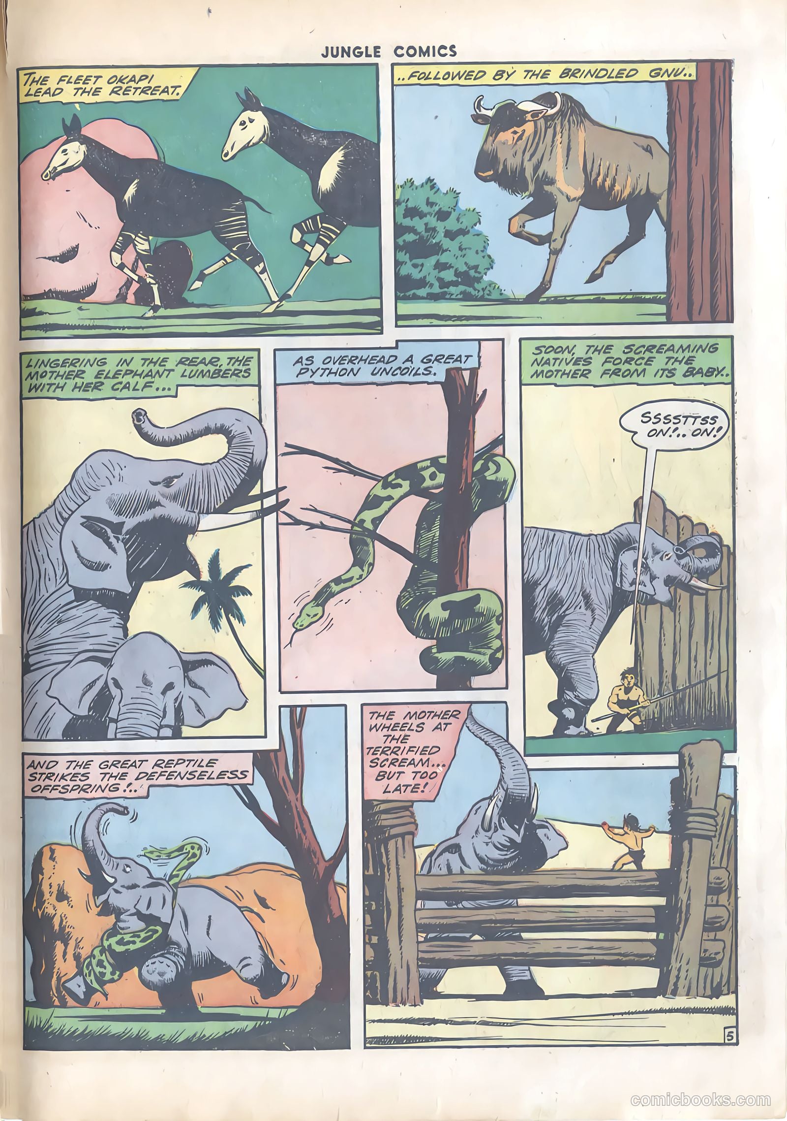 Jungle Comics #49 (1944) — page 53 of 60