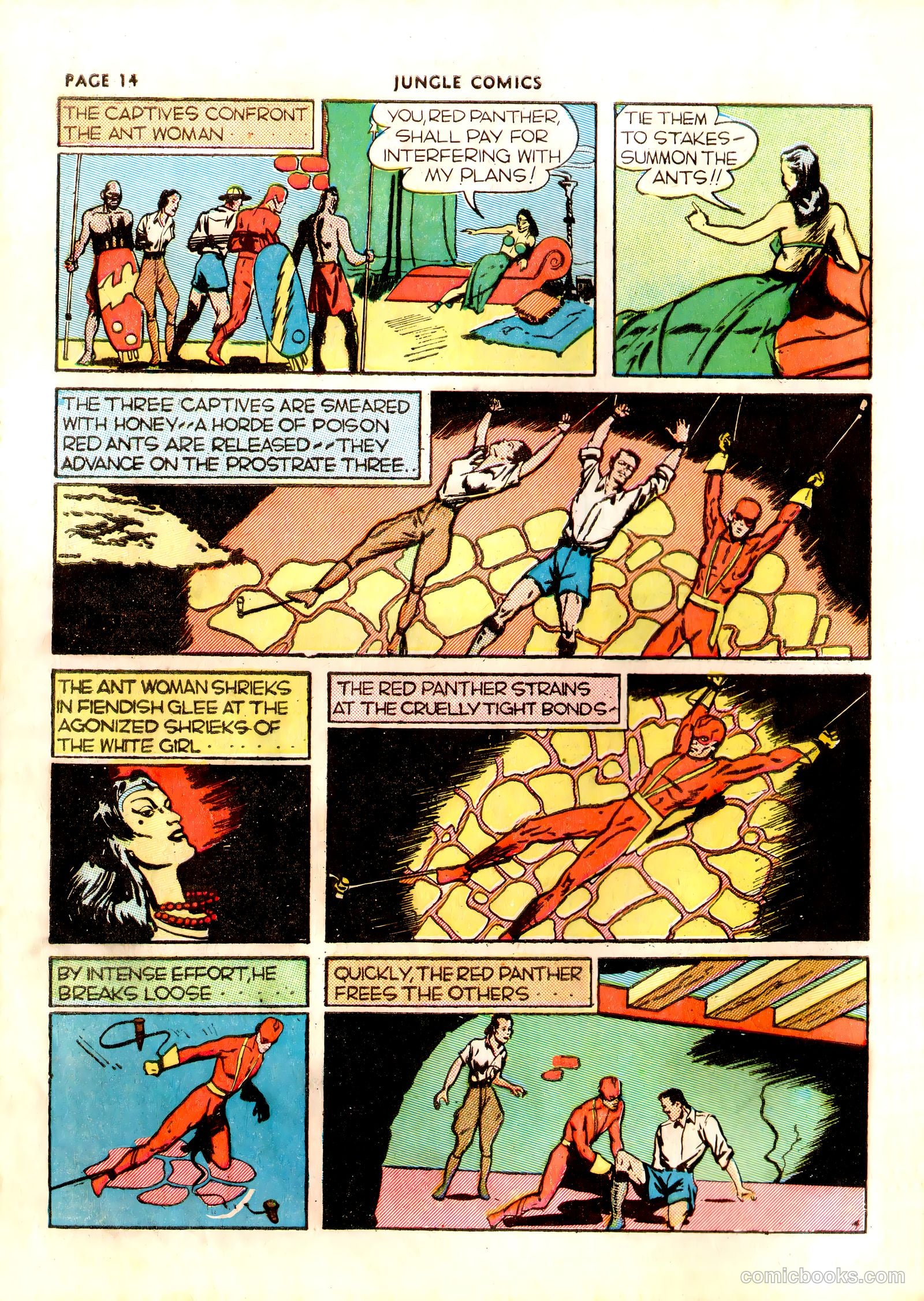 Jungle Comics #5 (1940) — page 17 of 70