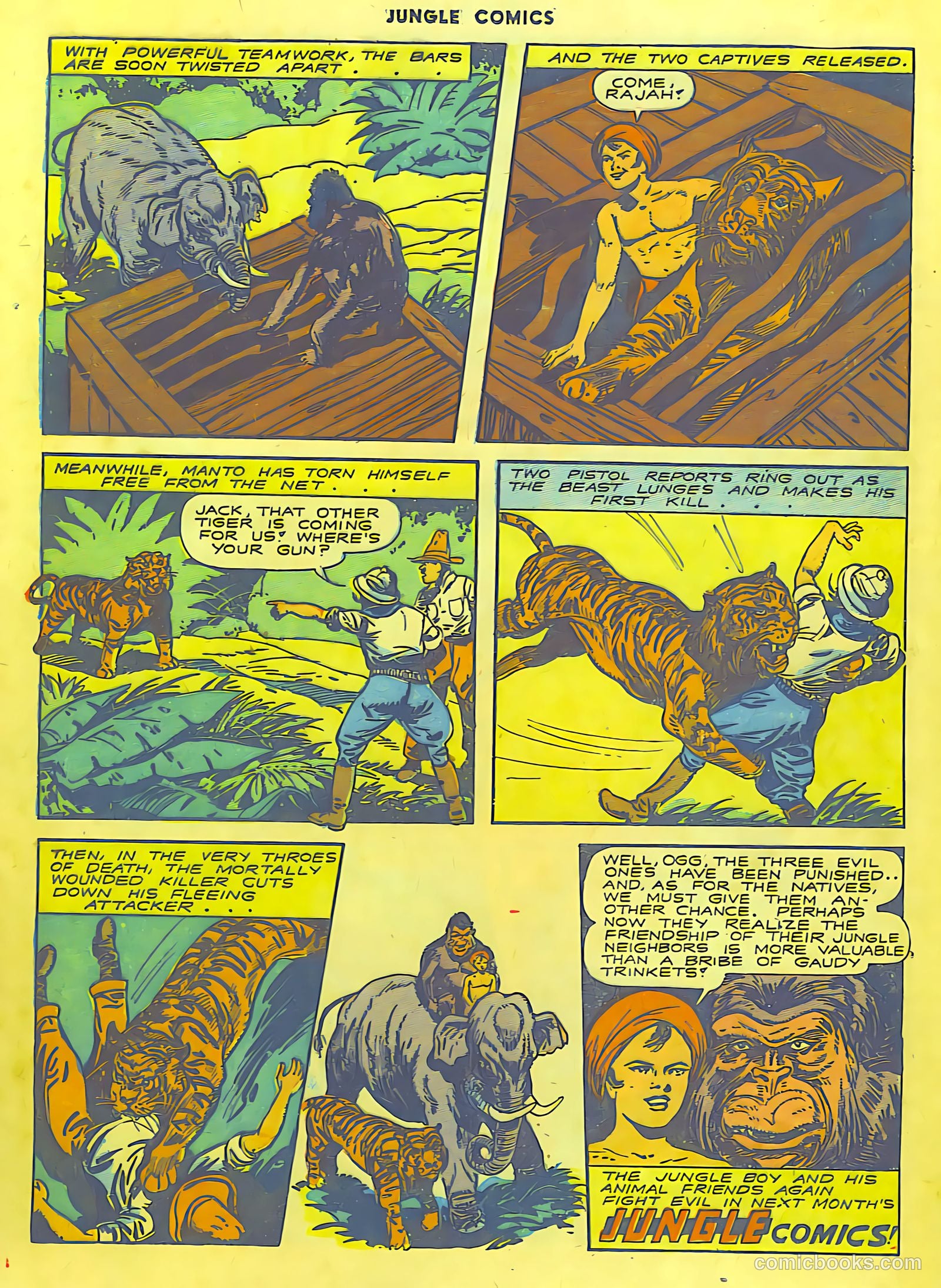 Jungle Comics #50 (1944) — page 36 of 60