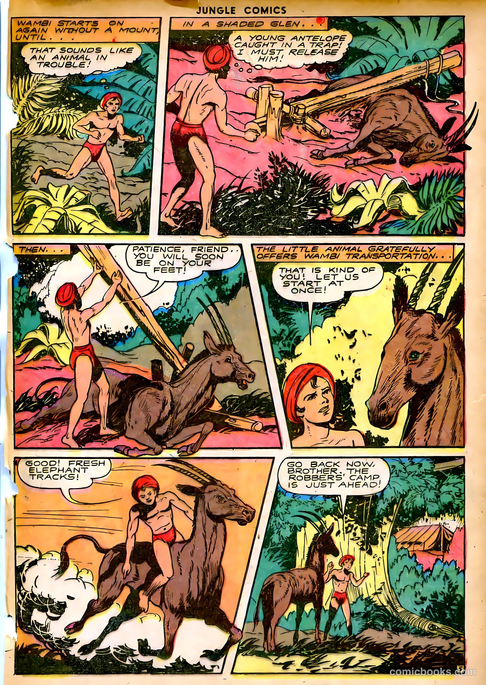 Jungle Comics #52 (1944) — page 25 of 52