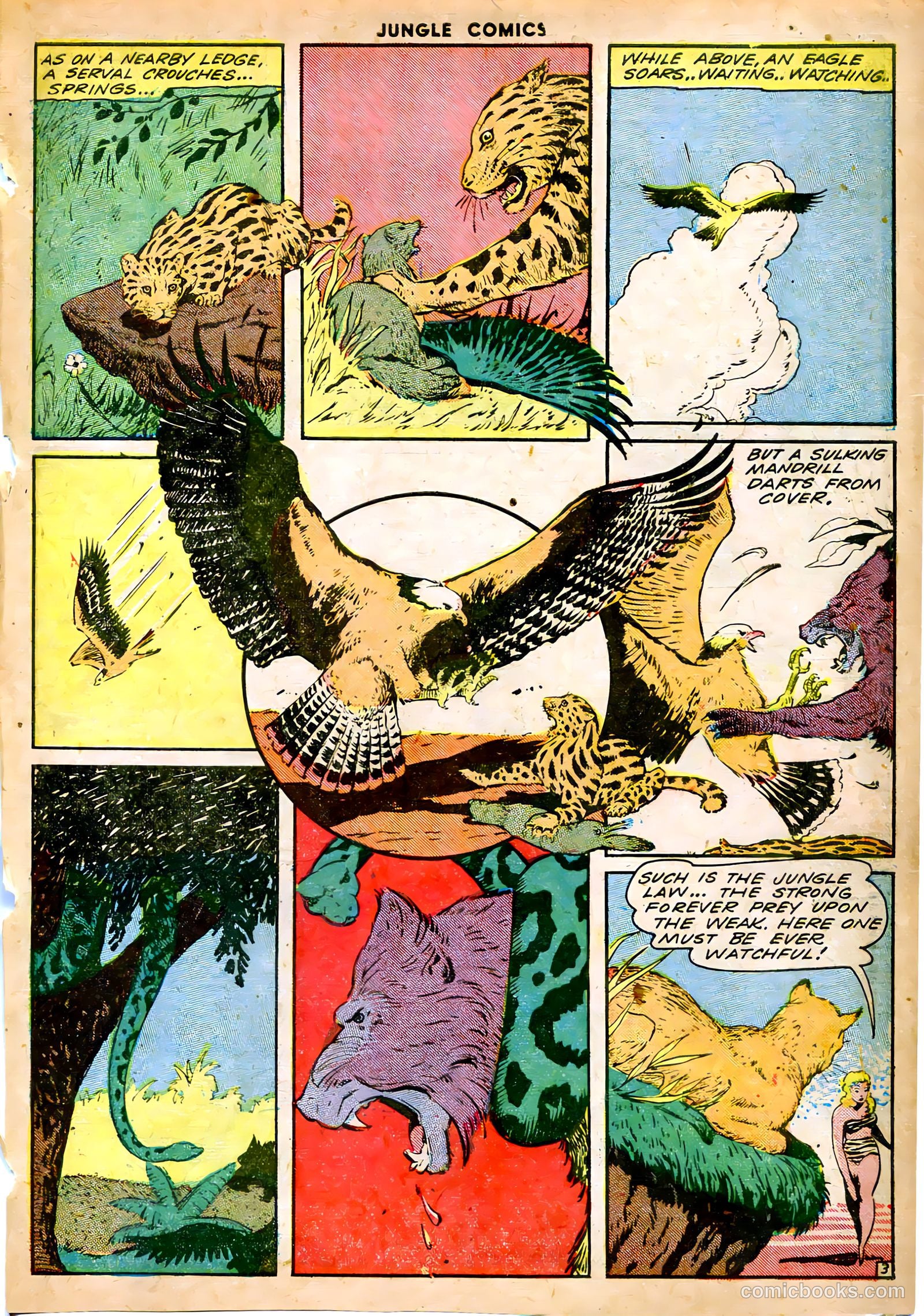 Jungle Comics #52 (1944) — page 45 of 52