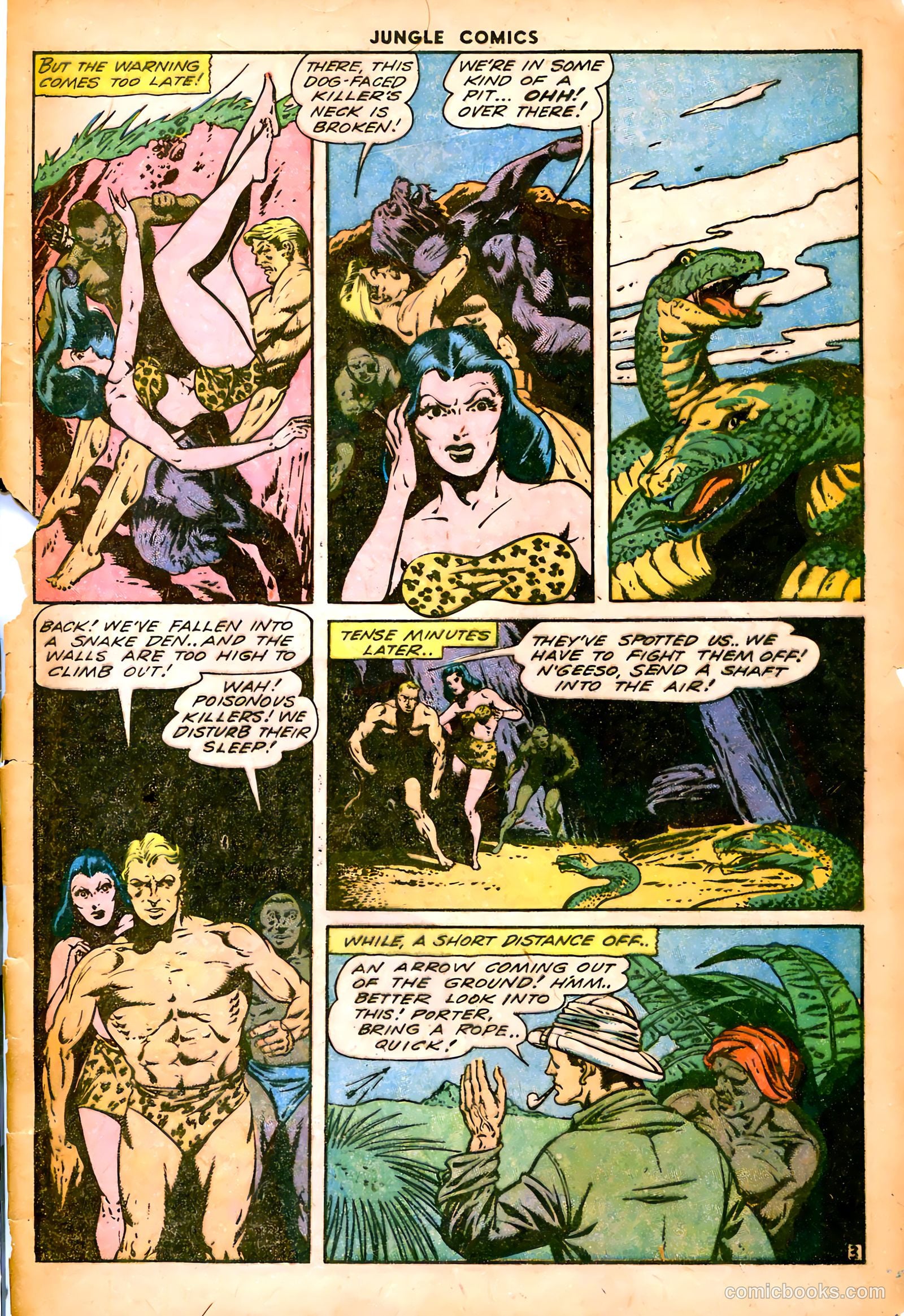 Jungle Comics #53 (1944) — page 5 of 52