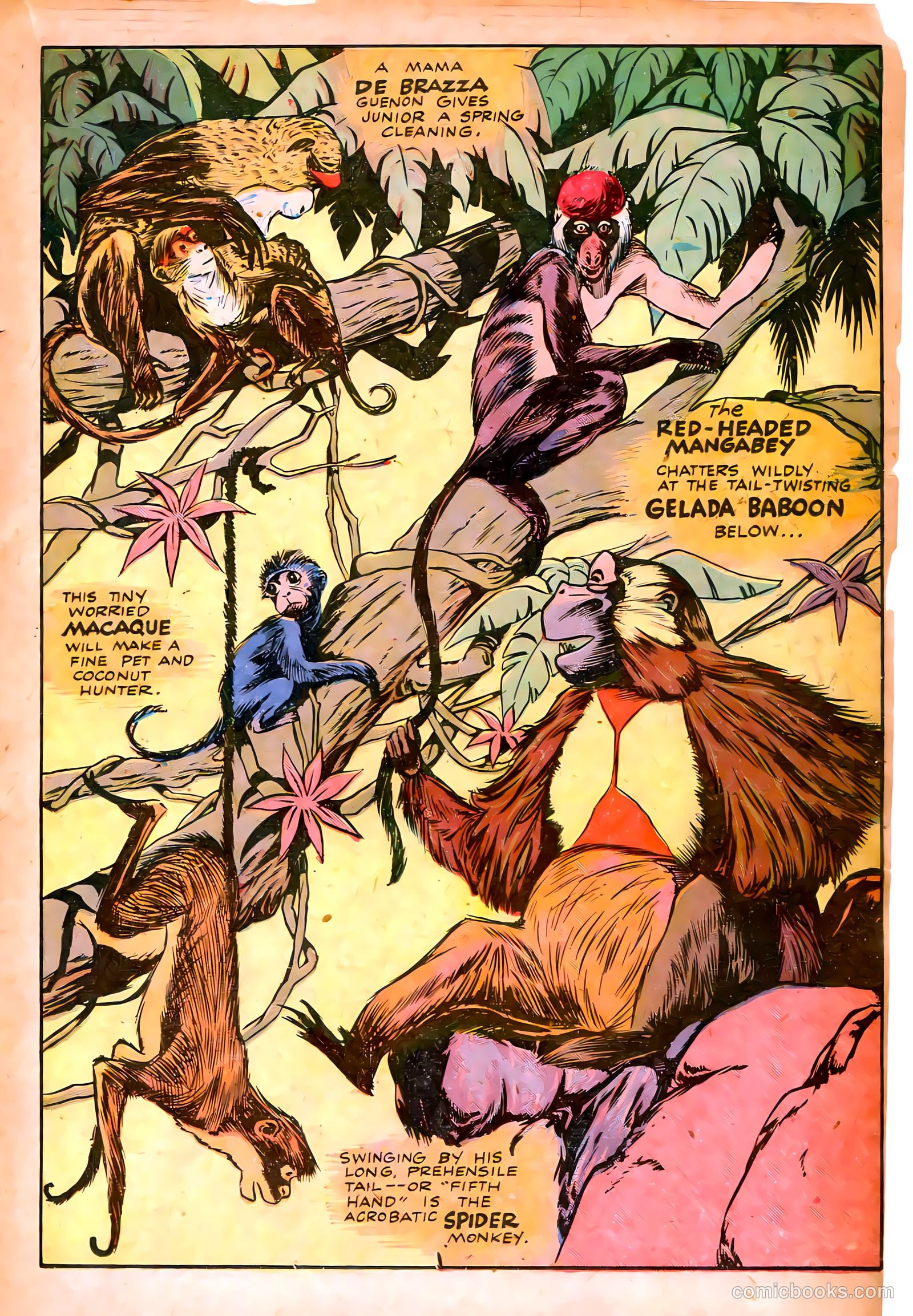 Jungle Comics #53 (1944) — page 27 of 52