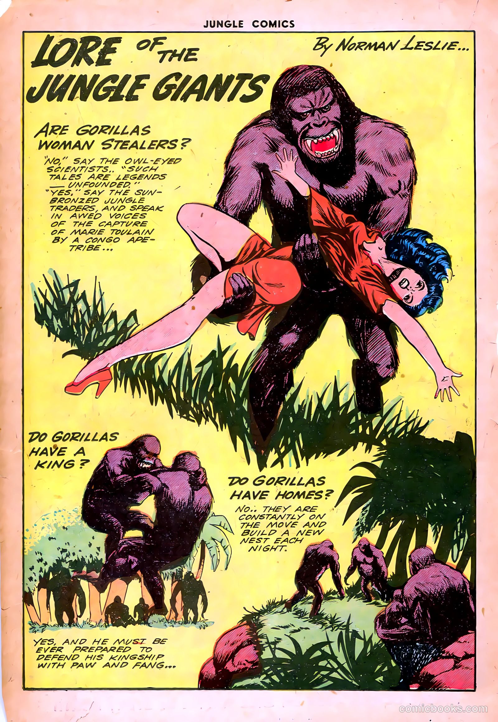 Jungle Comics #55 (1944) — page 27 of 53