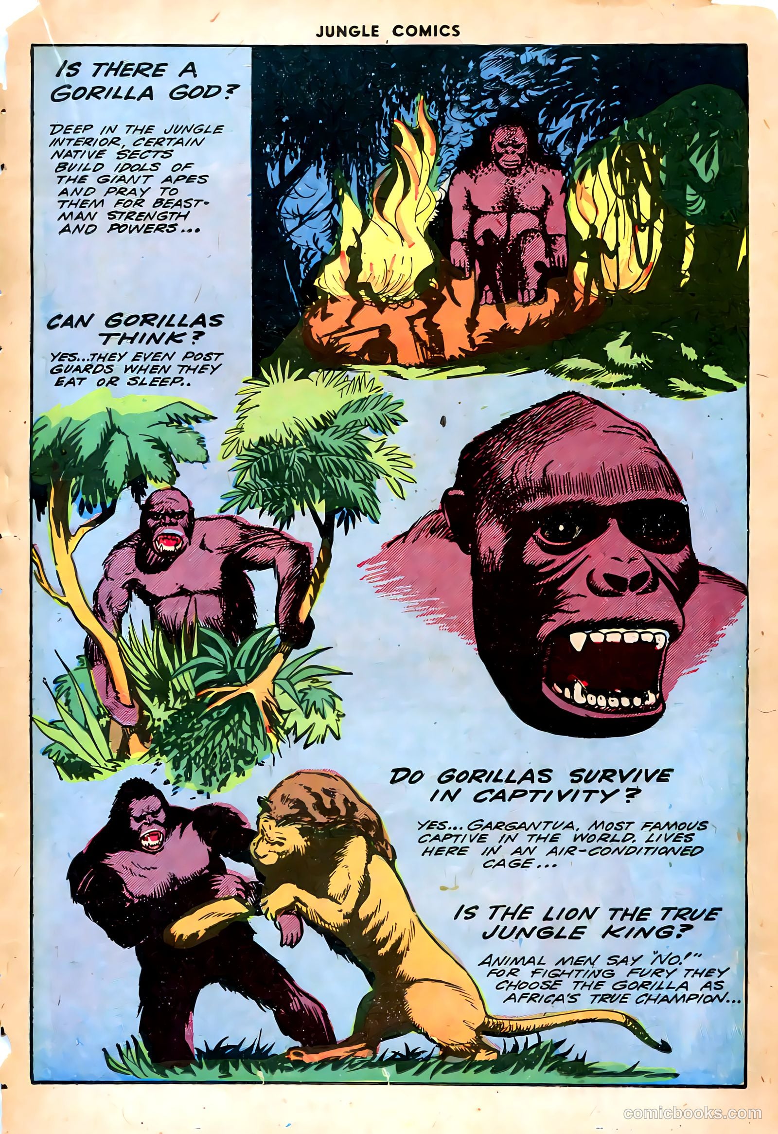Jungle Comics #55 (1944) — page 28 of 53
