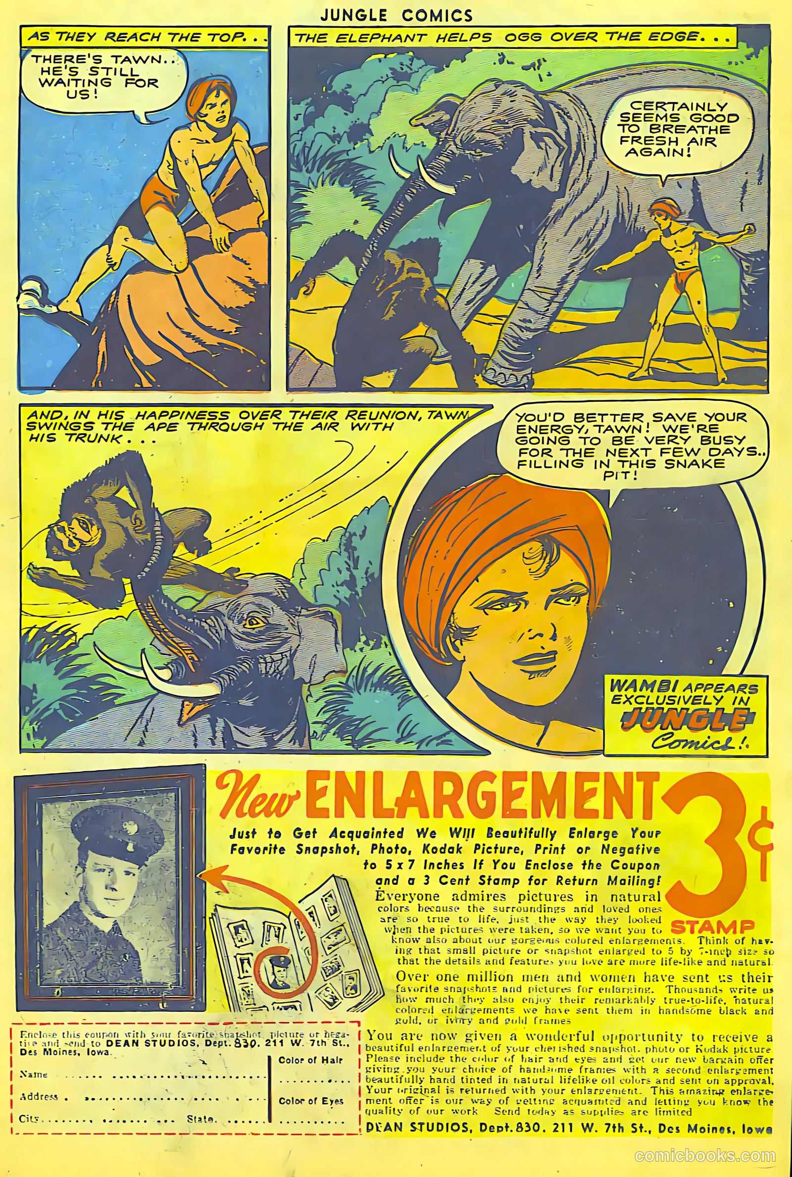 Jungle Comics #56 (1944) — page 33 of 52