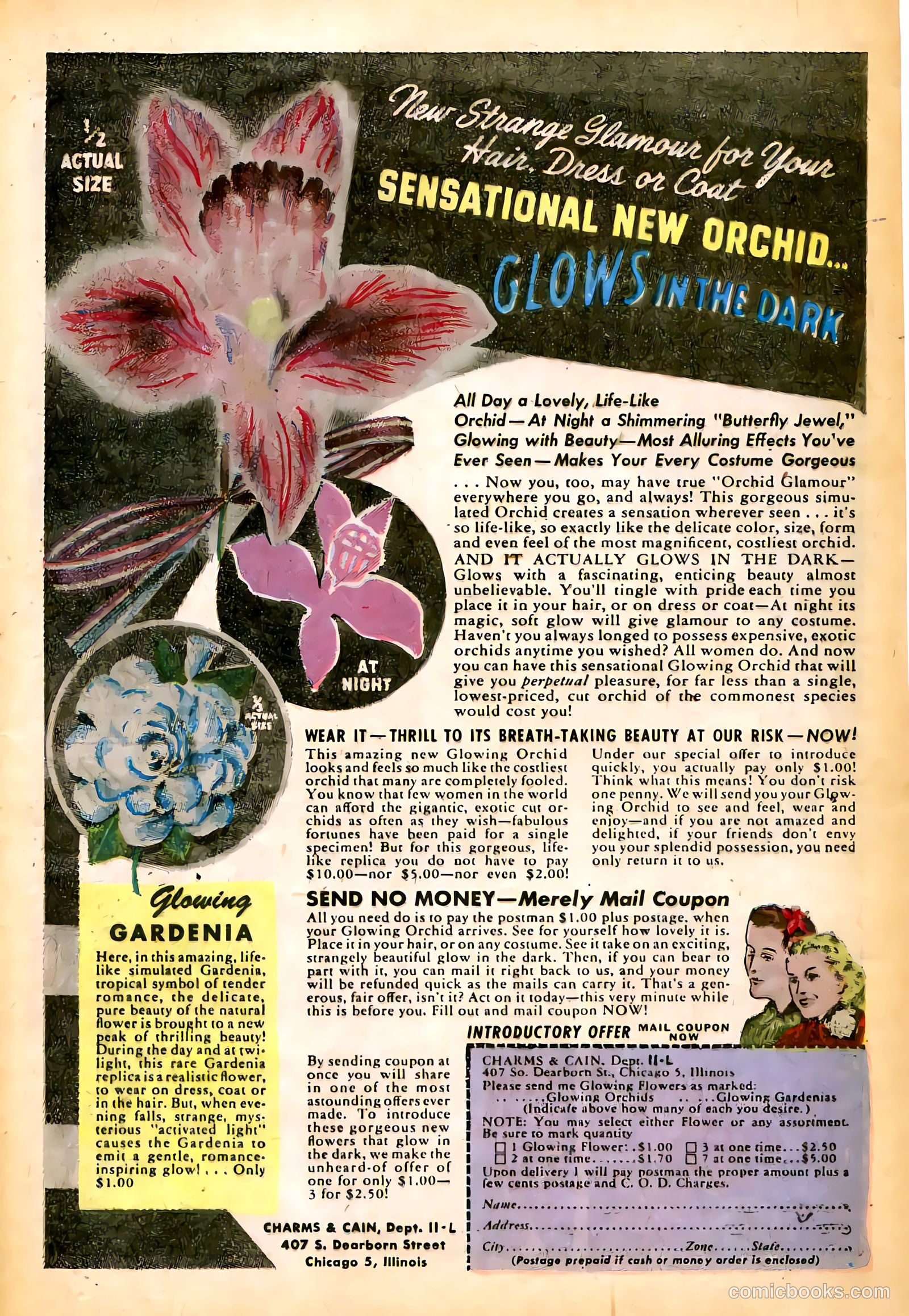 Jungle Comics #57 (1944) — page 35 of 52