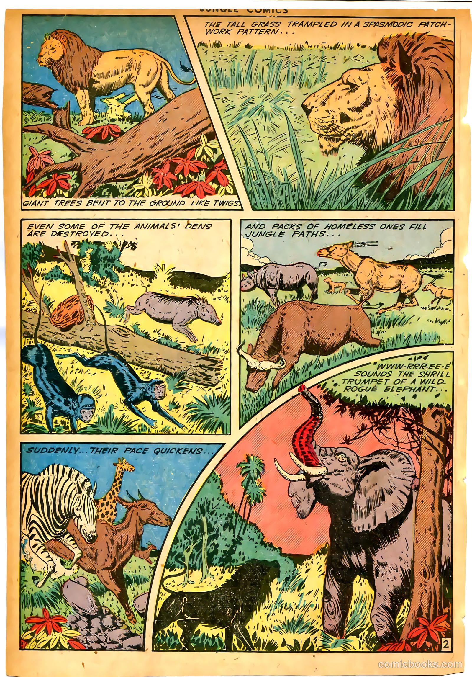 Jungle Comics #58 (1944) — page 32 of 52