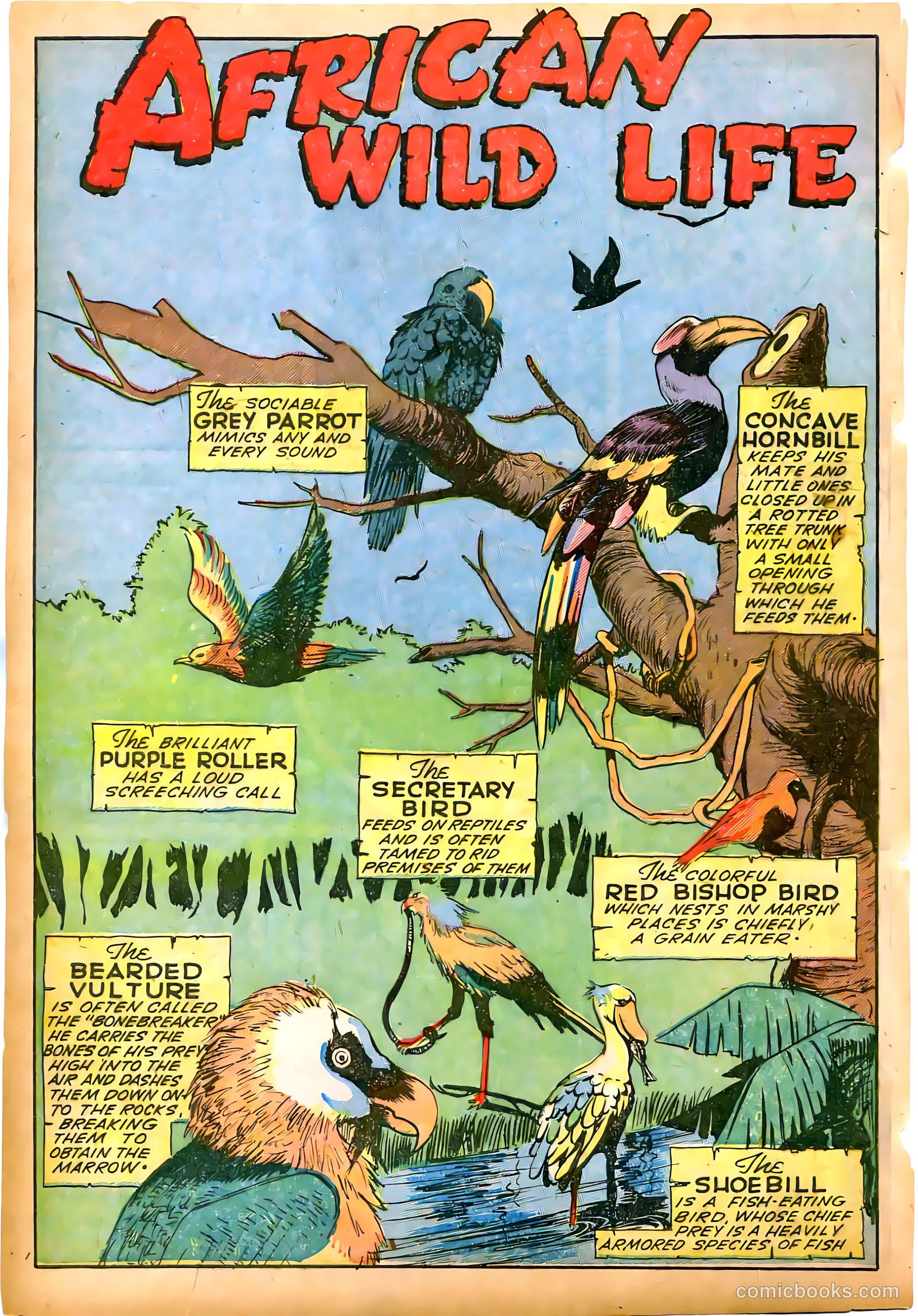 Jungle Comics #58 (1944) — page 42 of 52