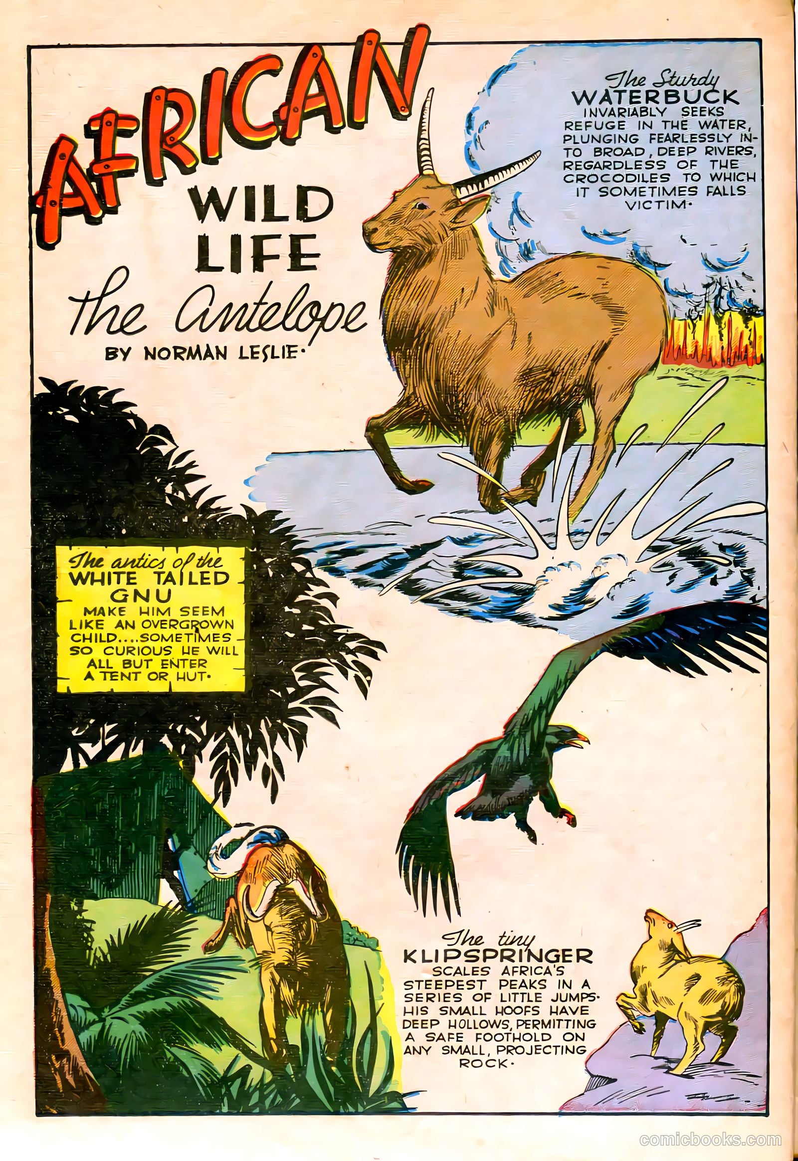 Jungle Comics #59 (1944) — page 37 of 53