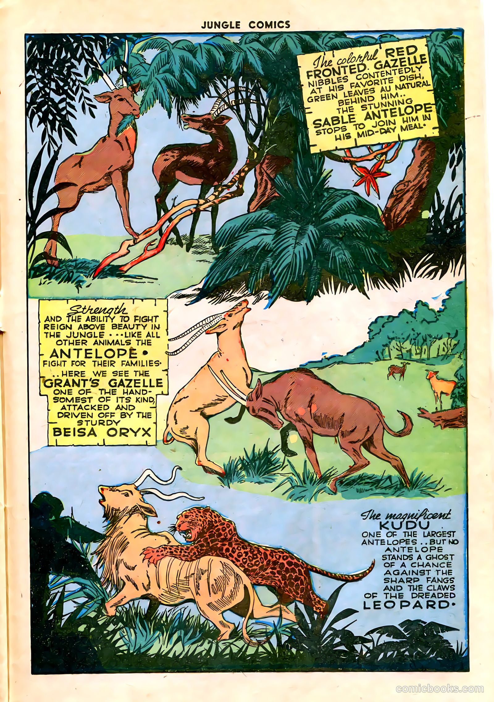 Jungle Comics #59 (1944) — page 38 of 53