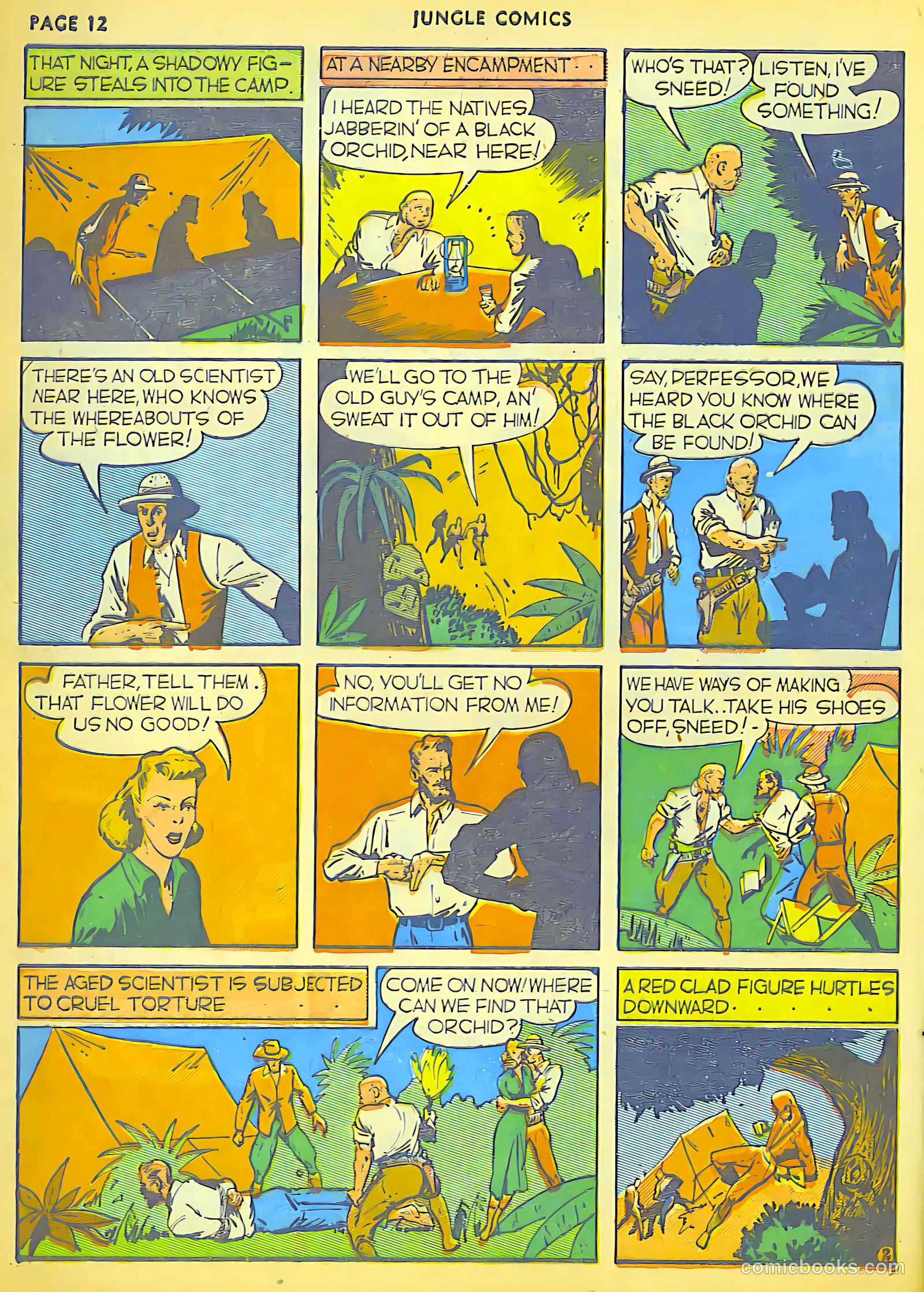 Jungle Comics #6 (1940) — page 3 of 68
