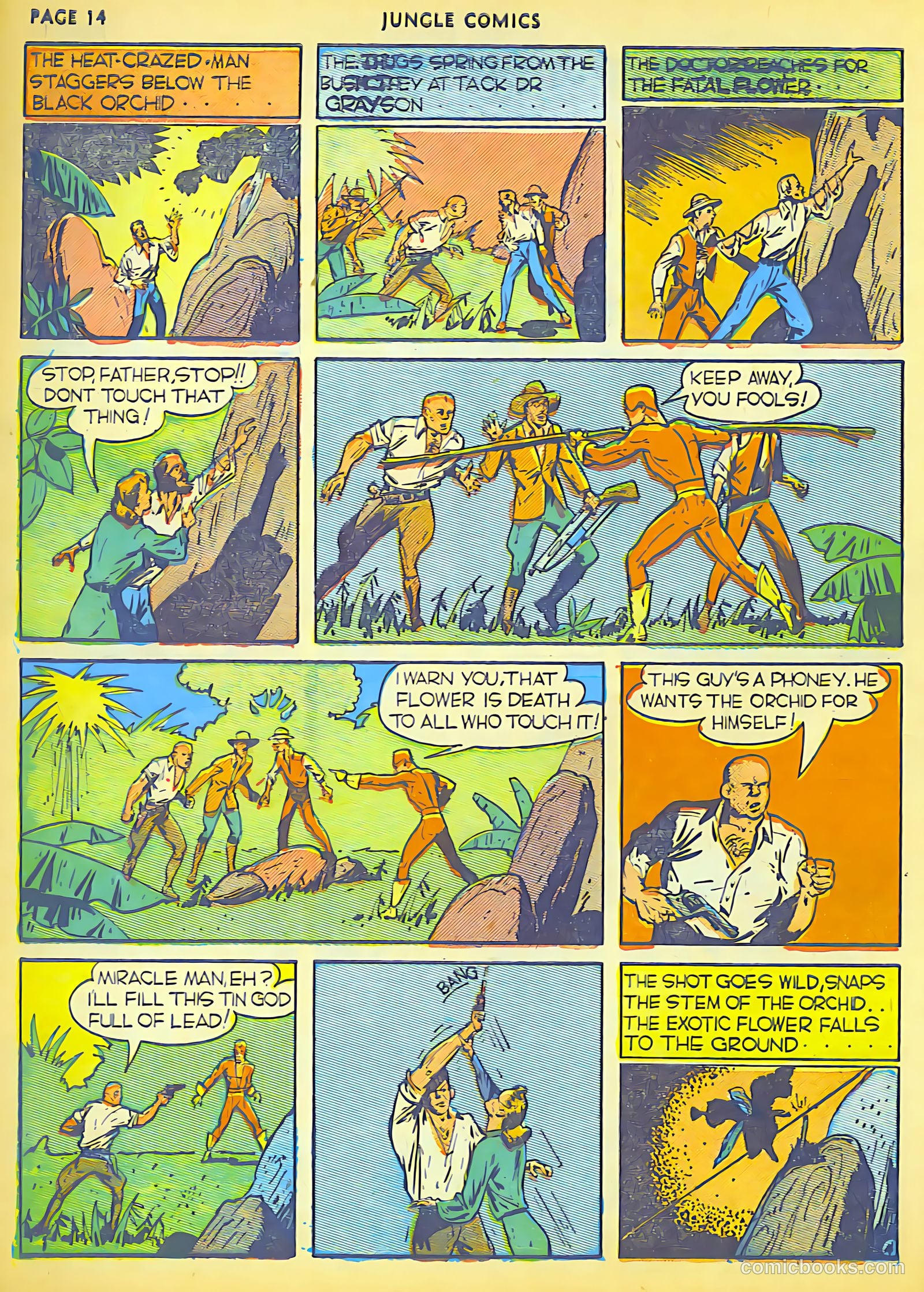 Jungle Comics #6 (1940) — page 5 of 68