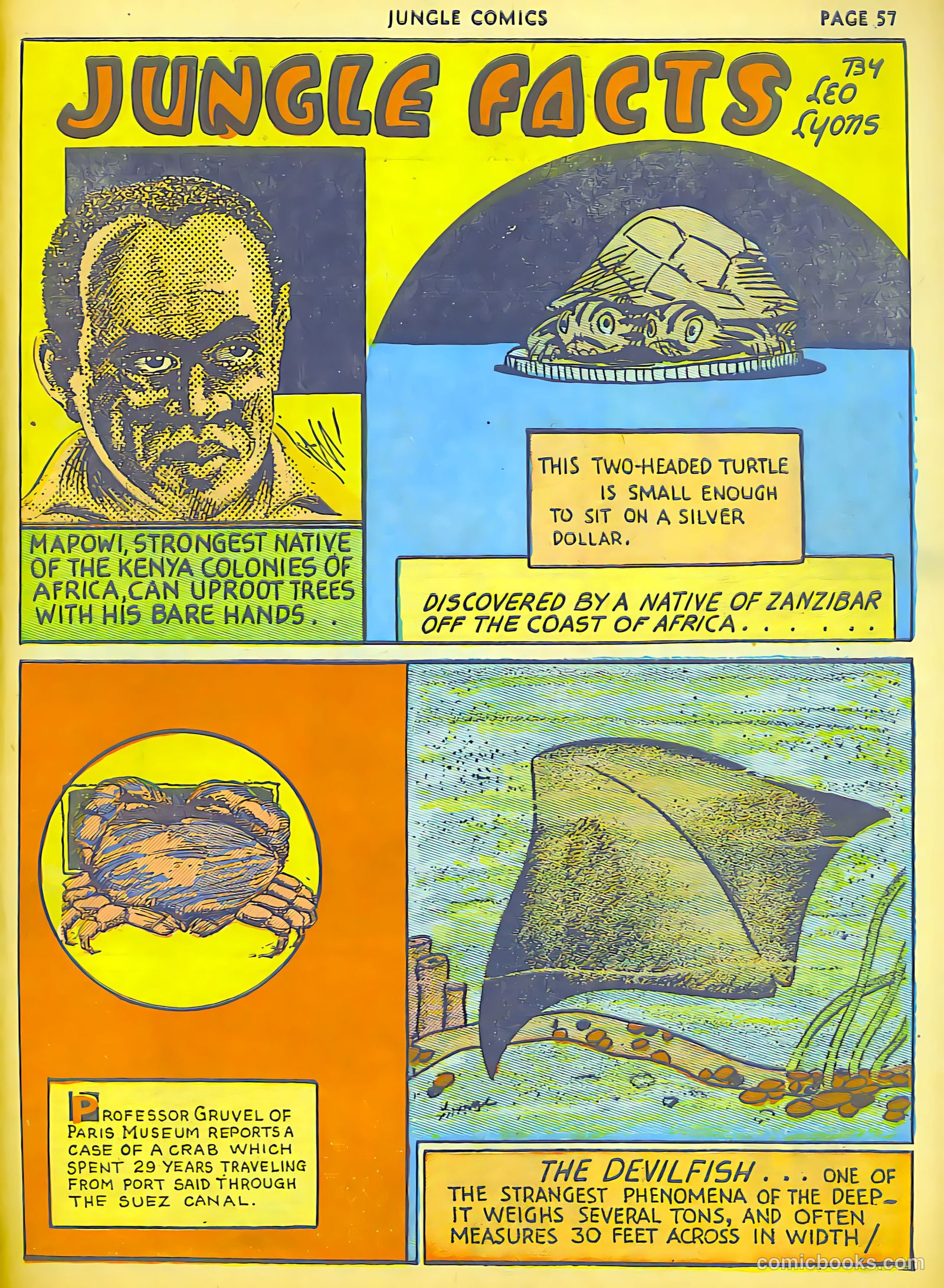 Jungle Comics #6 (1940) — page 48 of 68