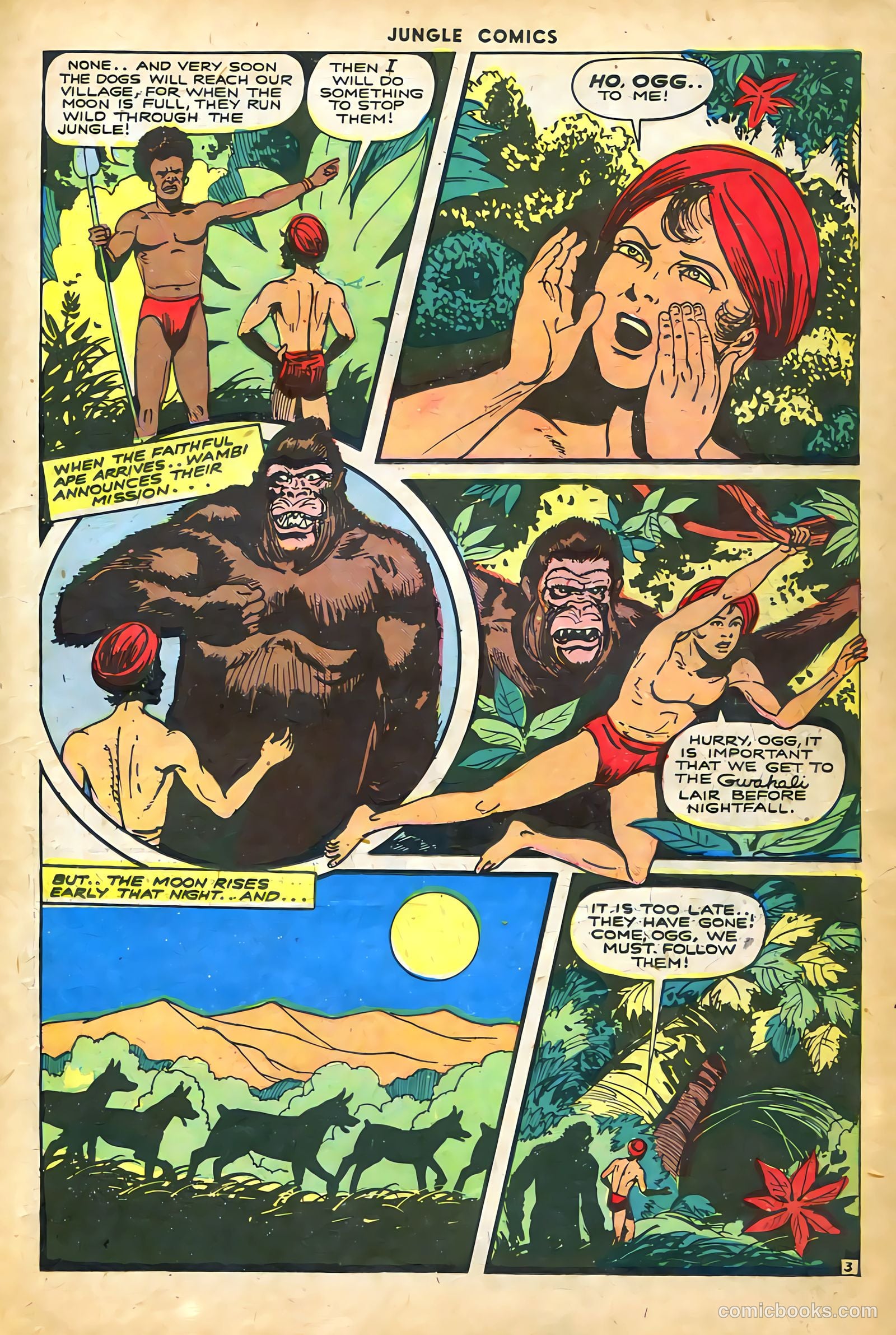 Jungle Comics #61 (1945) — page 17 of 52