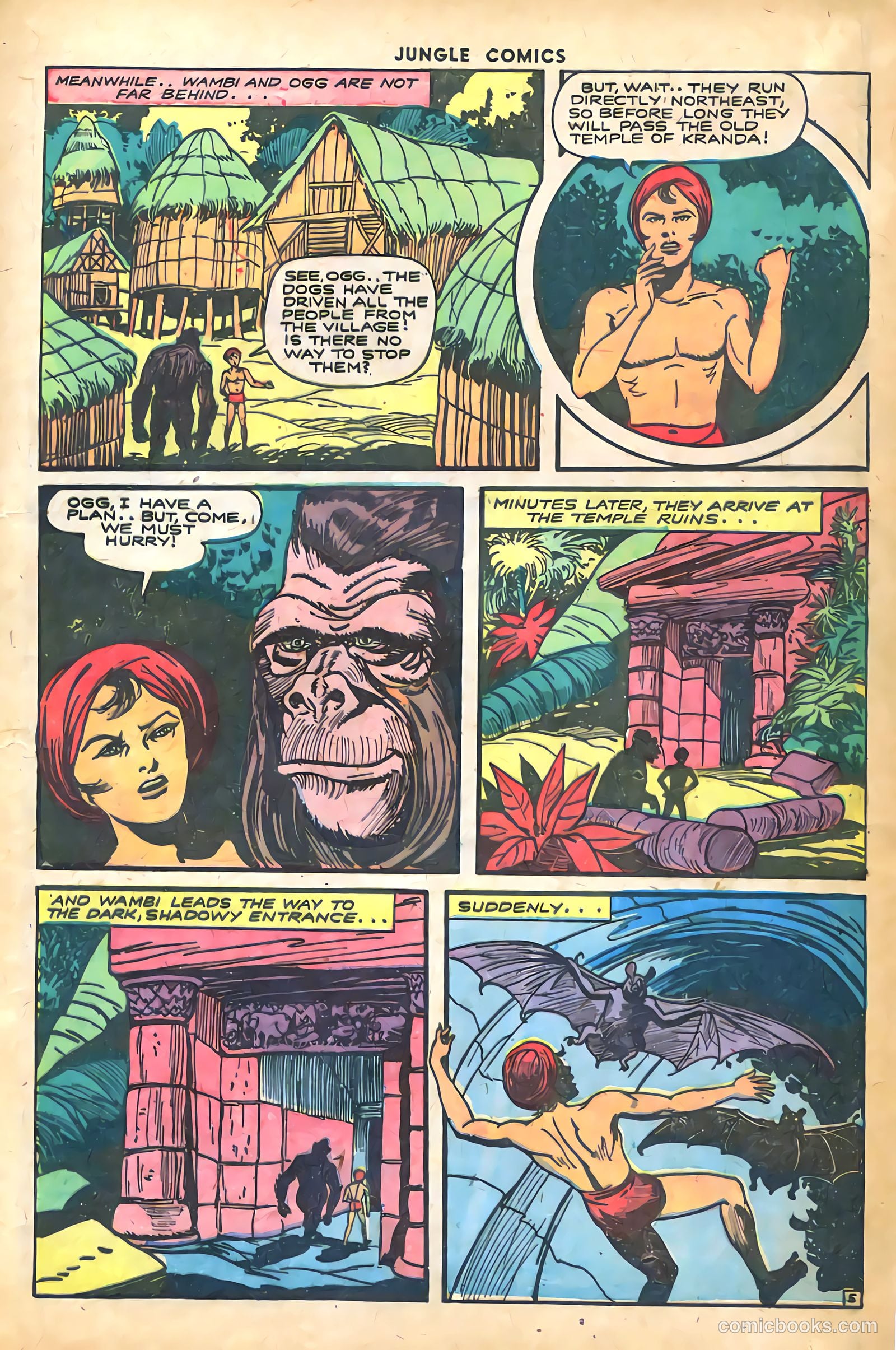 Jungle Comics #61 (1945) — page 19 of 52