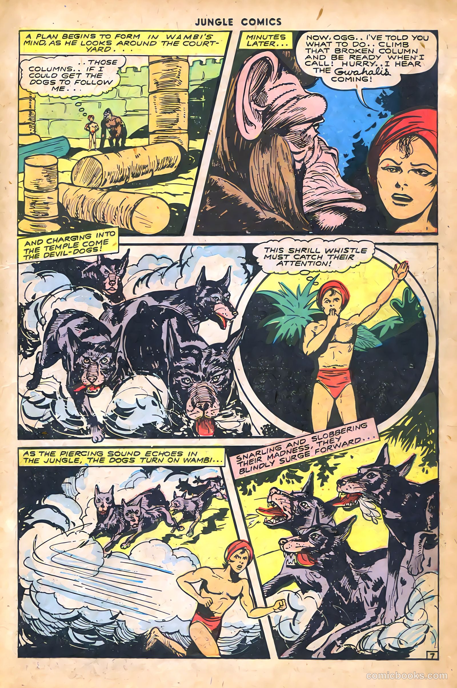 Jungle Comics #61 (1945) — page 21 of 52